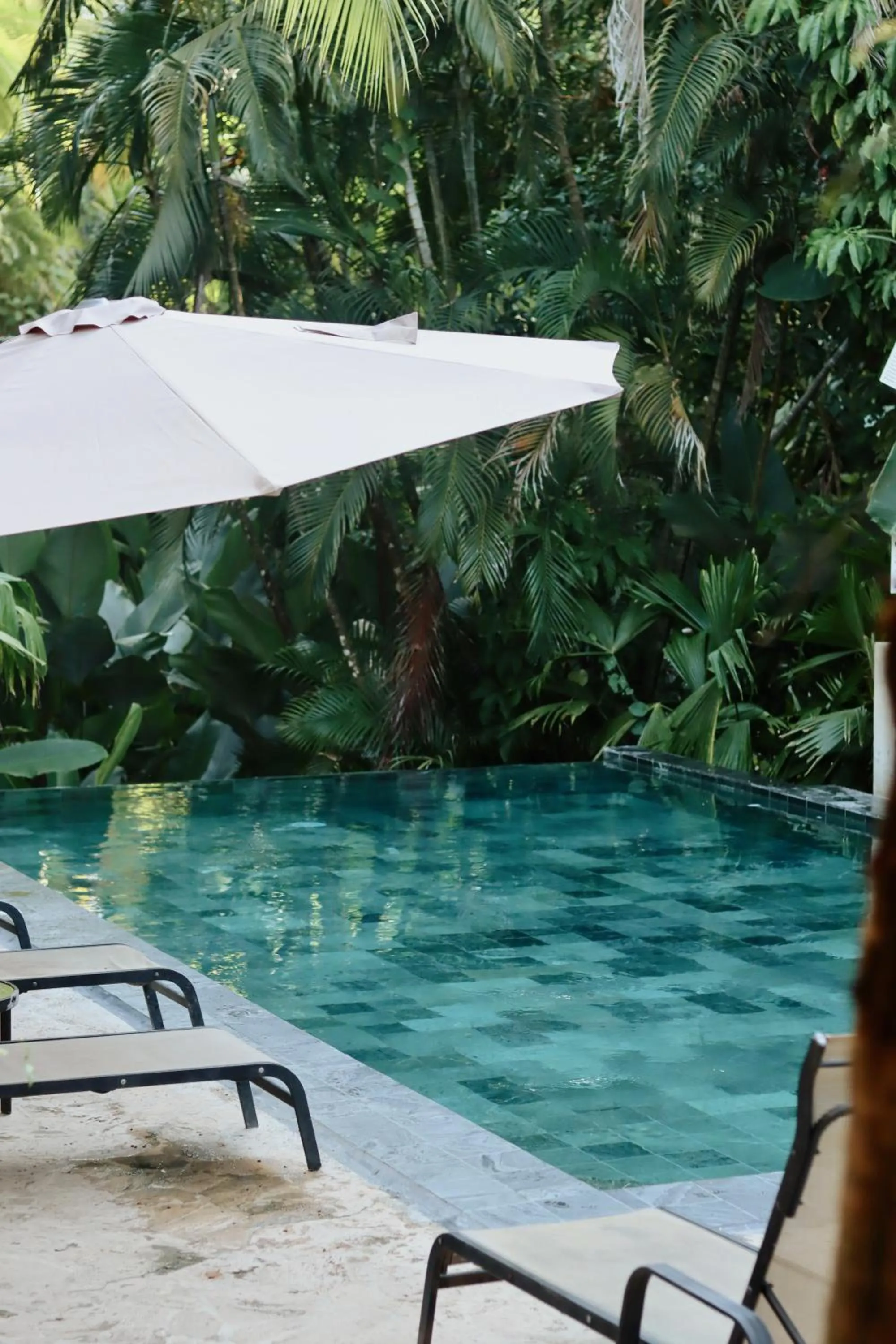 The Falls at Manuel Antonio