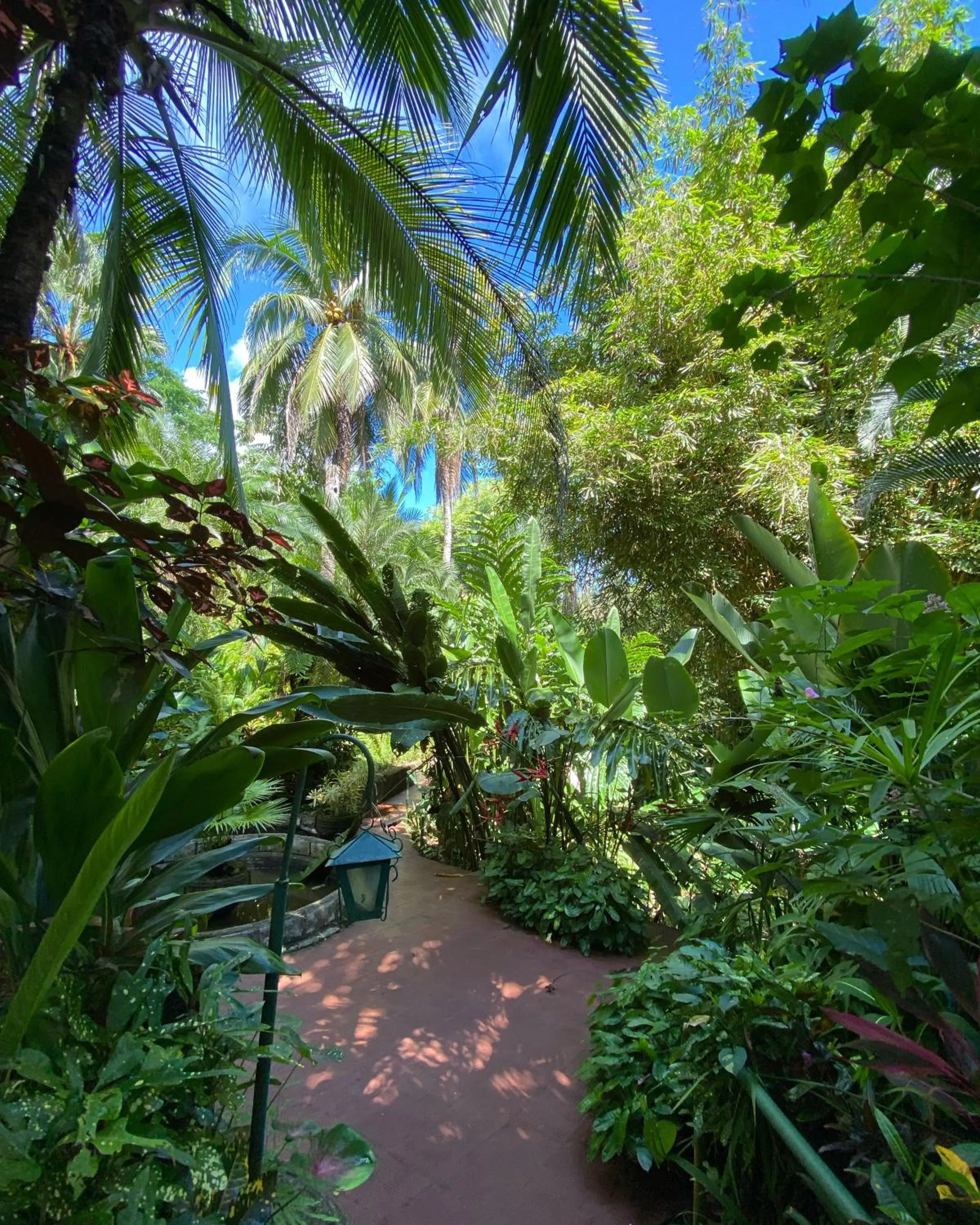 Patio in The Falls at Manuel Antonio
