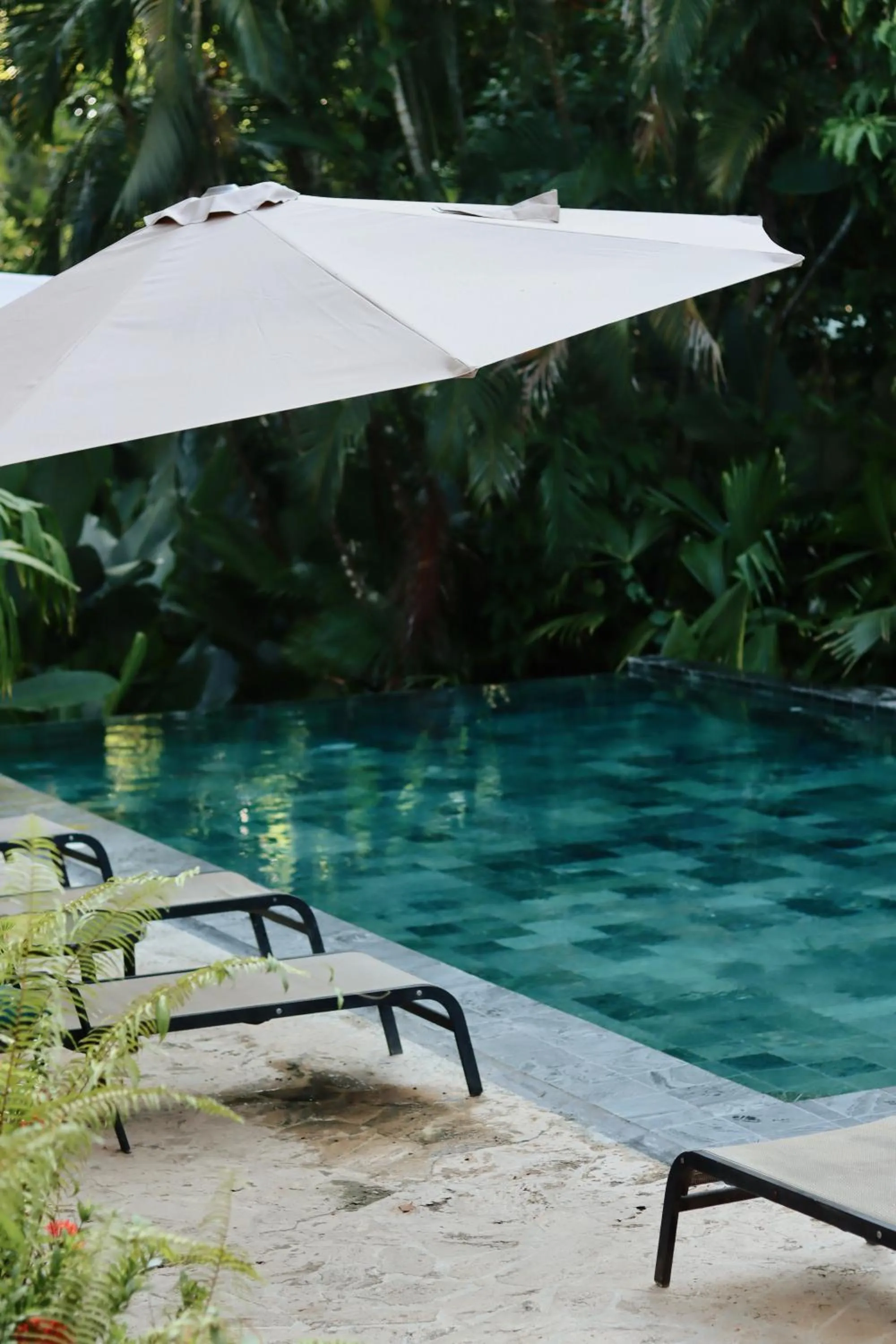 The Falls at Manuel Antonio