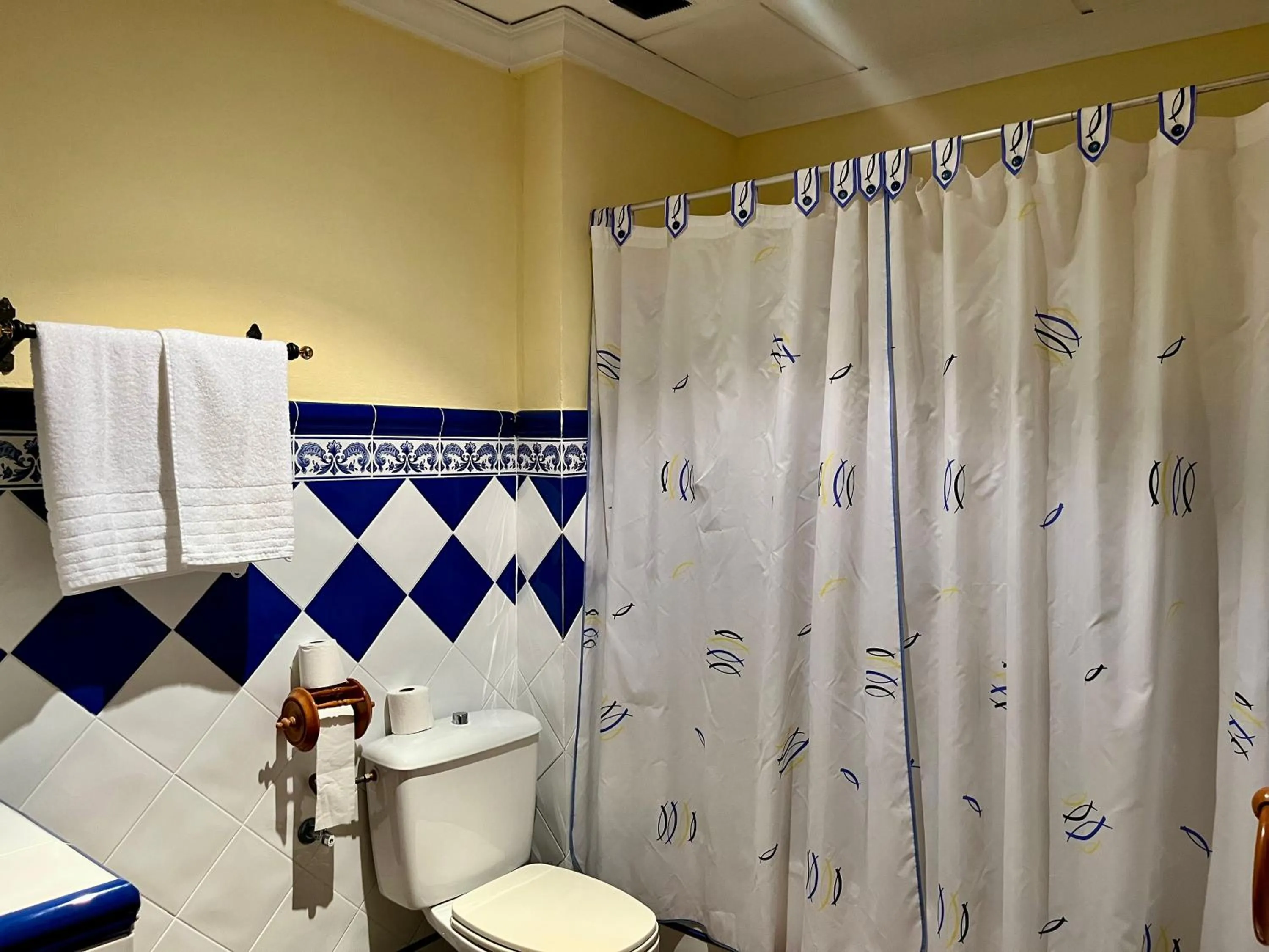 Shower in Seto del Palancar