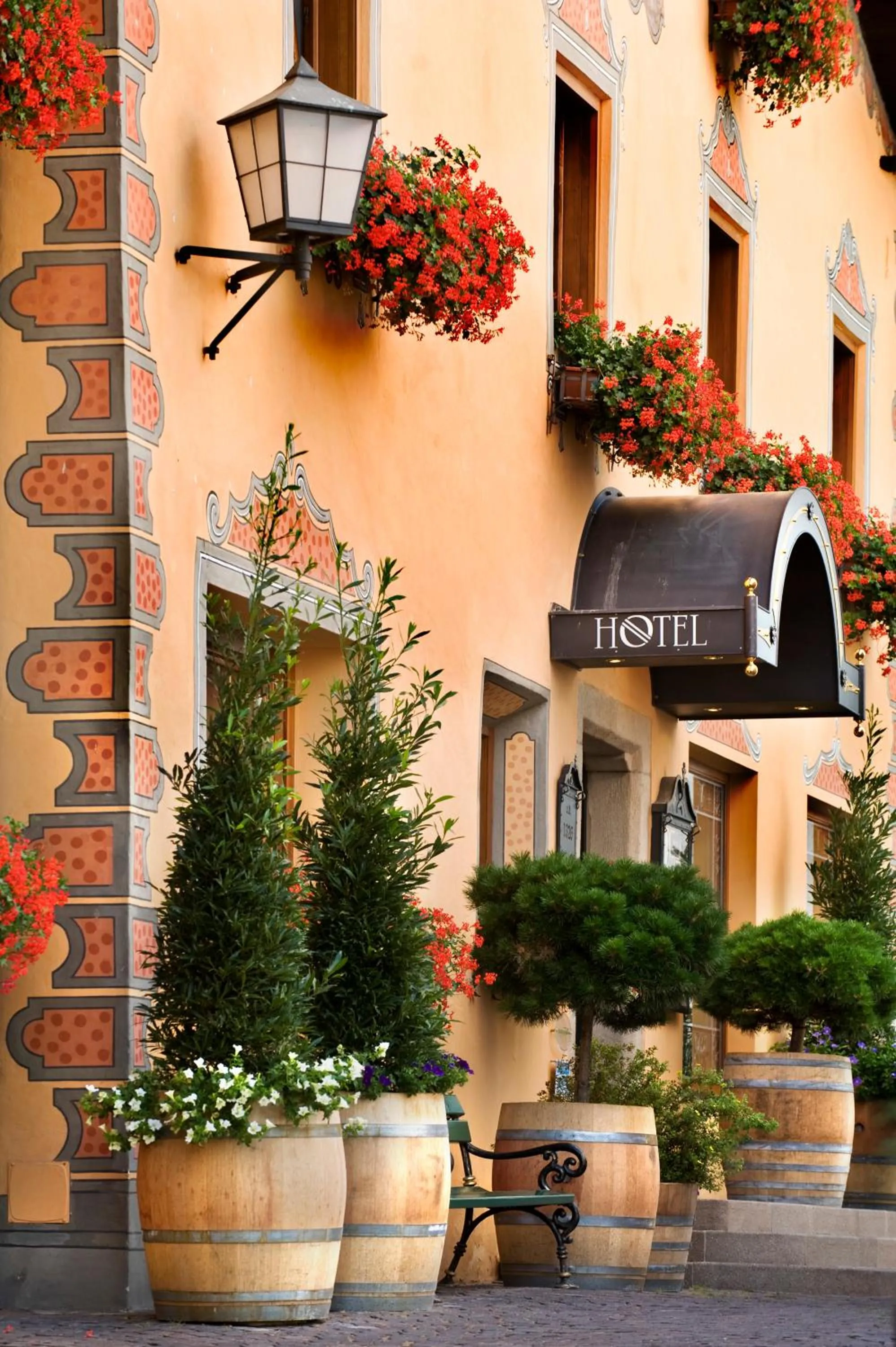 Facade/entrance in Hotel Cavallino D'Oro Bed&Breakfast
