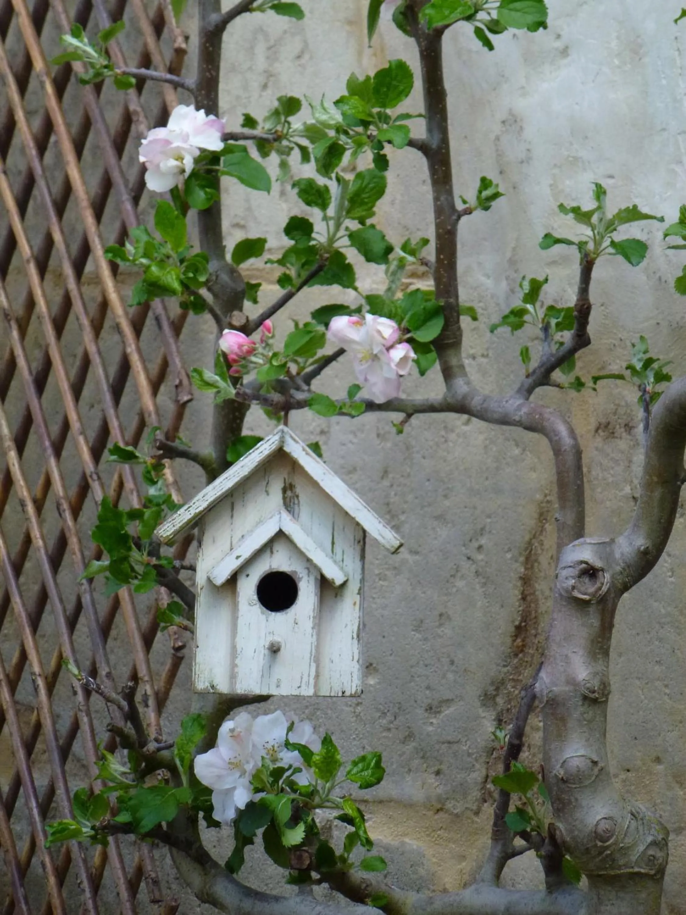 Patio in Hôtel de Biencourt