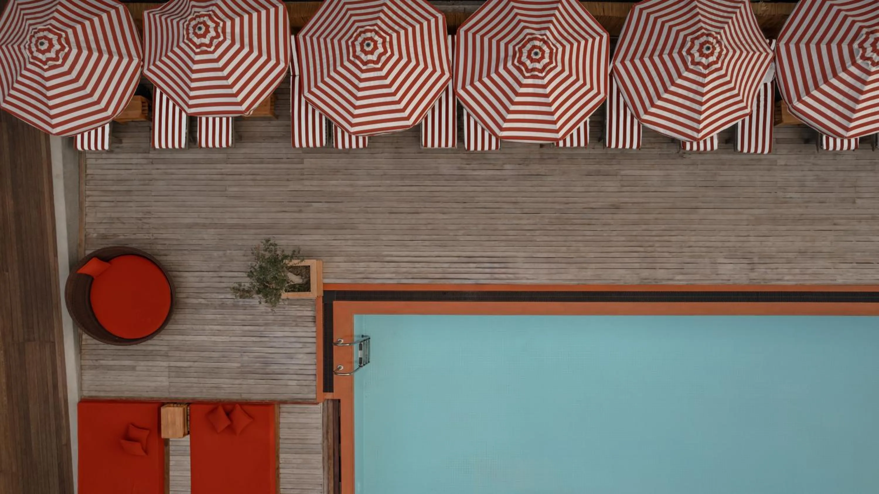 Pool view in Cook's Club Alanya - Adult Only 12