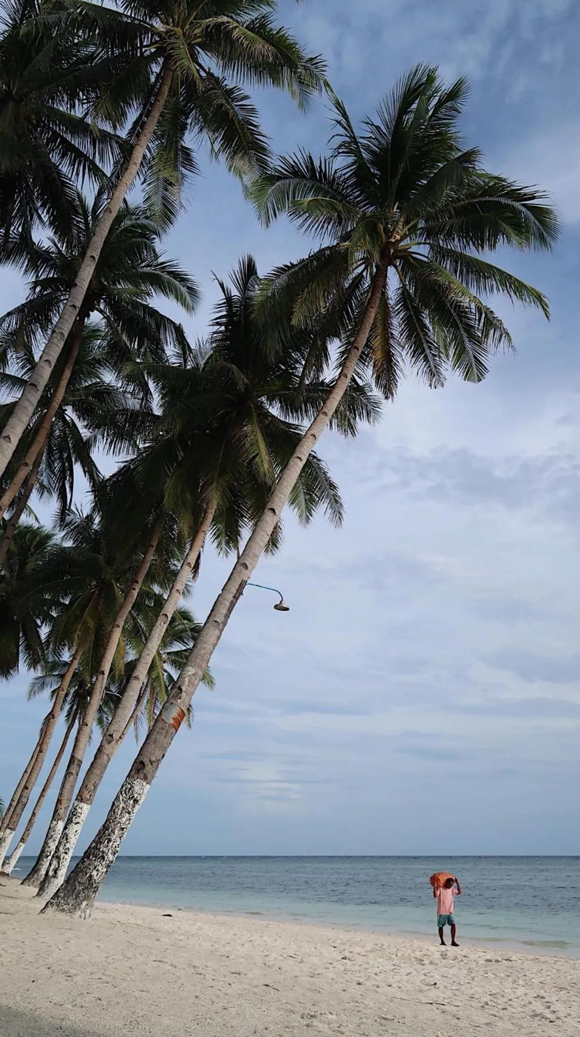 Anda White Beach Resort