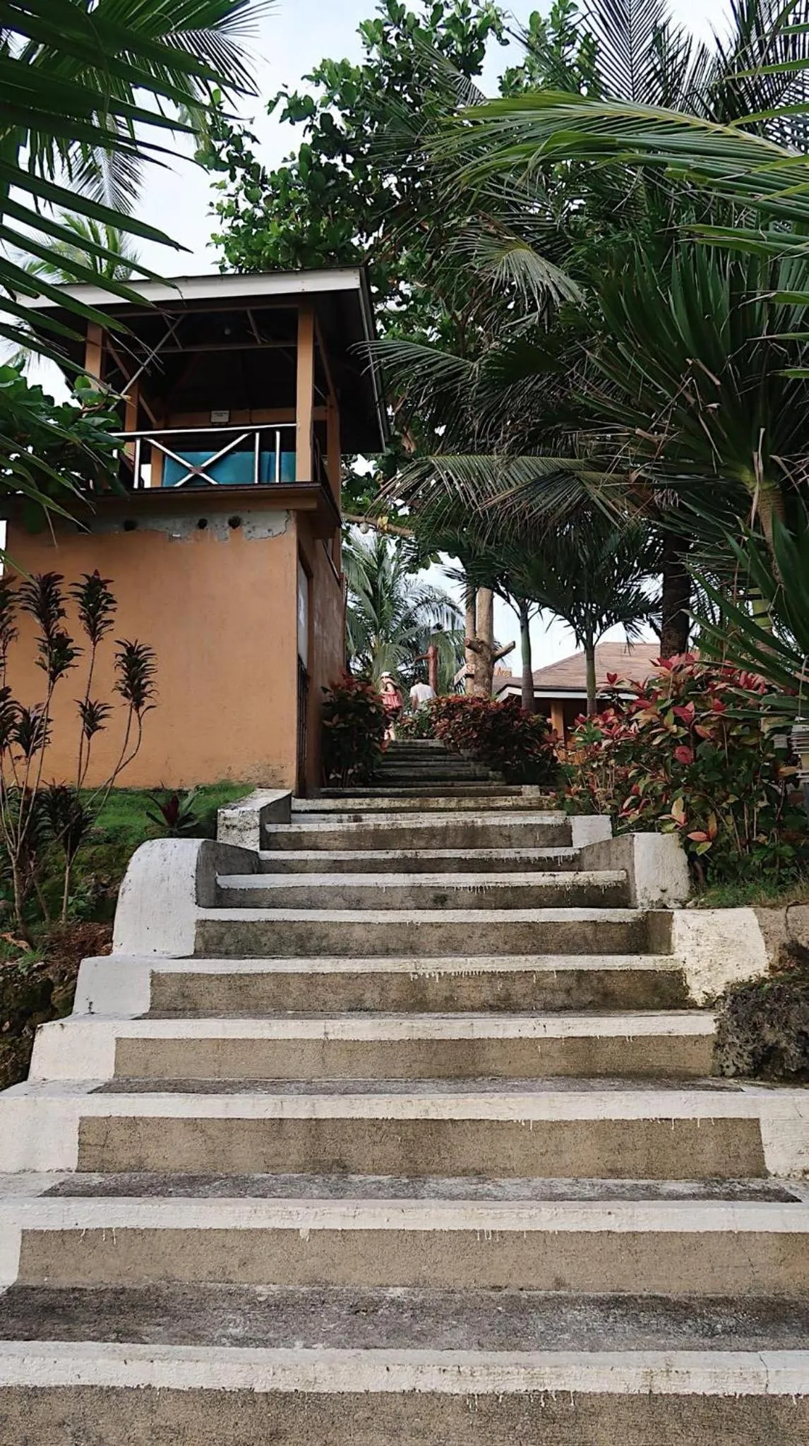 Anda White Beach Resort