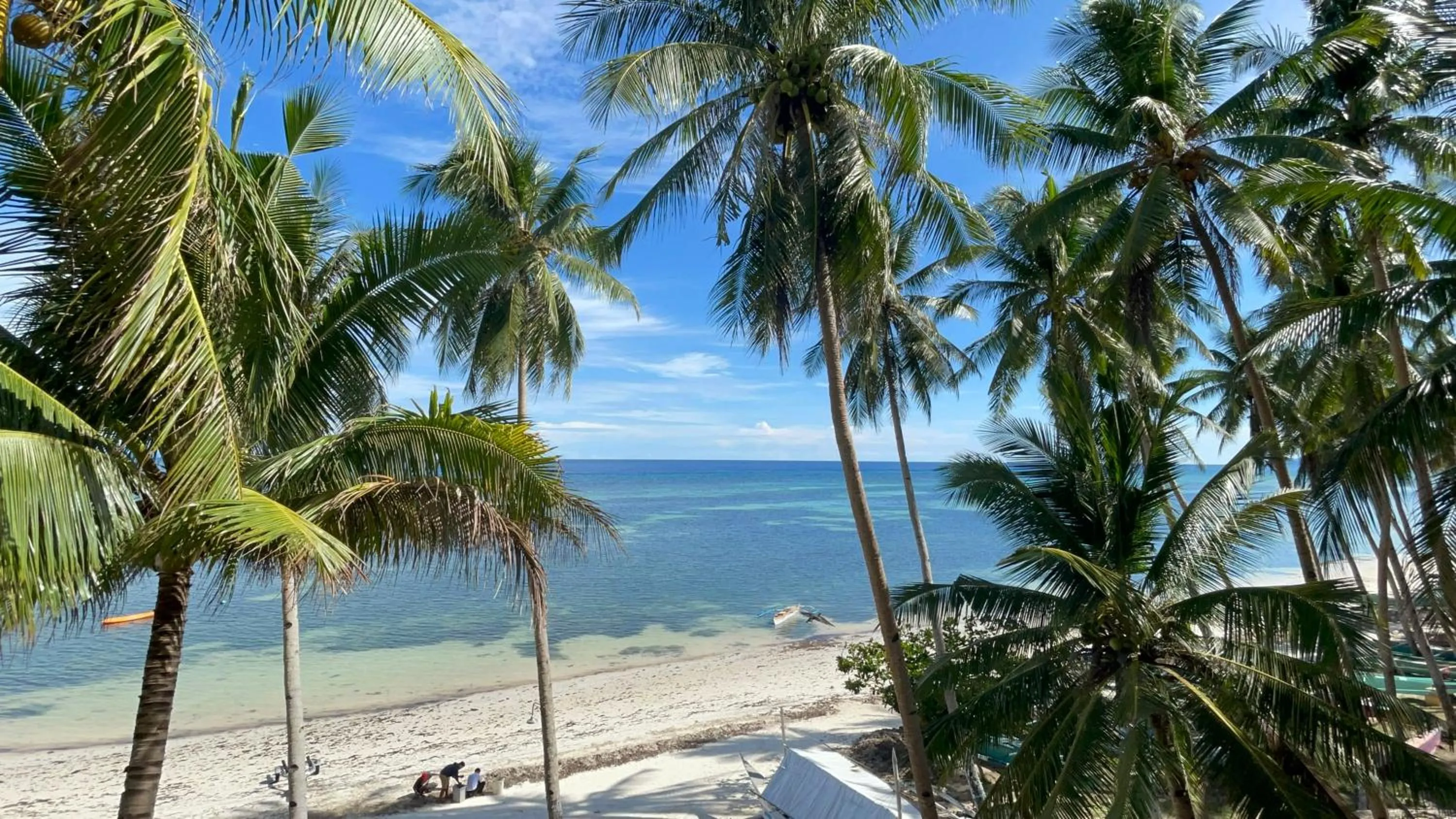 View (from property/room) in Anda White Beach Resort