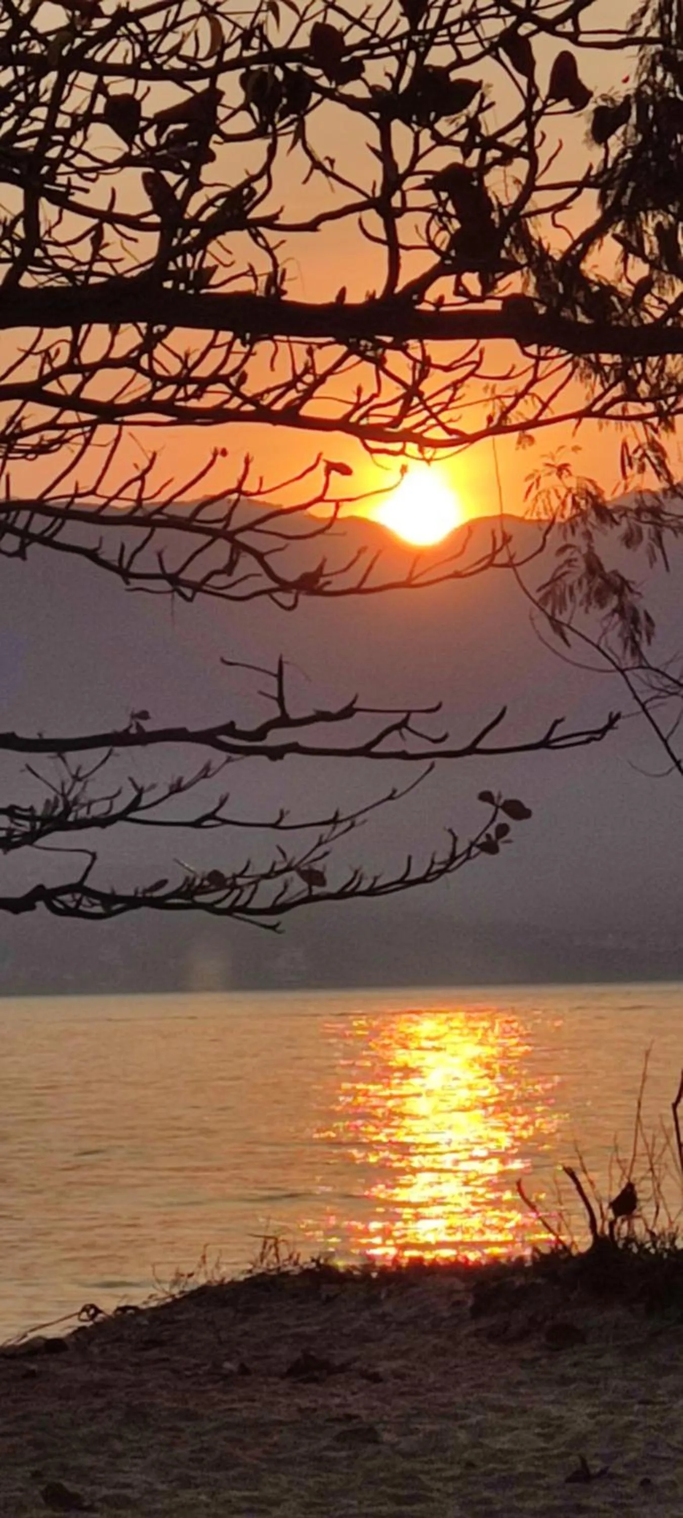 Recanto Toca das Plantas de Ilhabela I