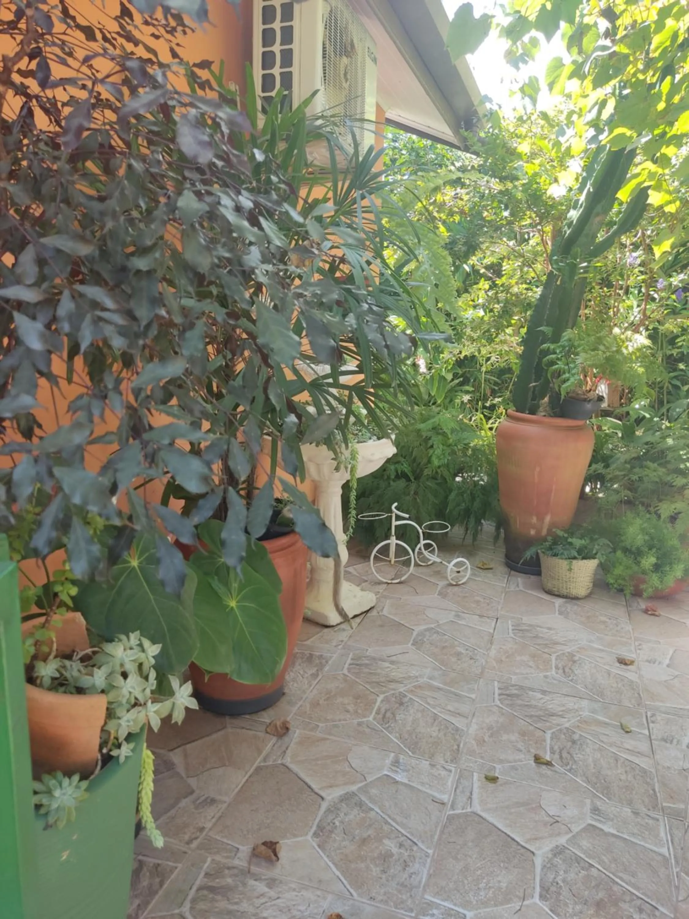 Recanto Toca das Plantas de Ilhabela I