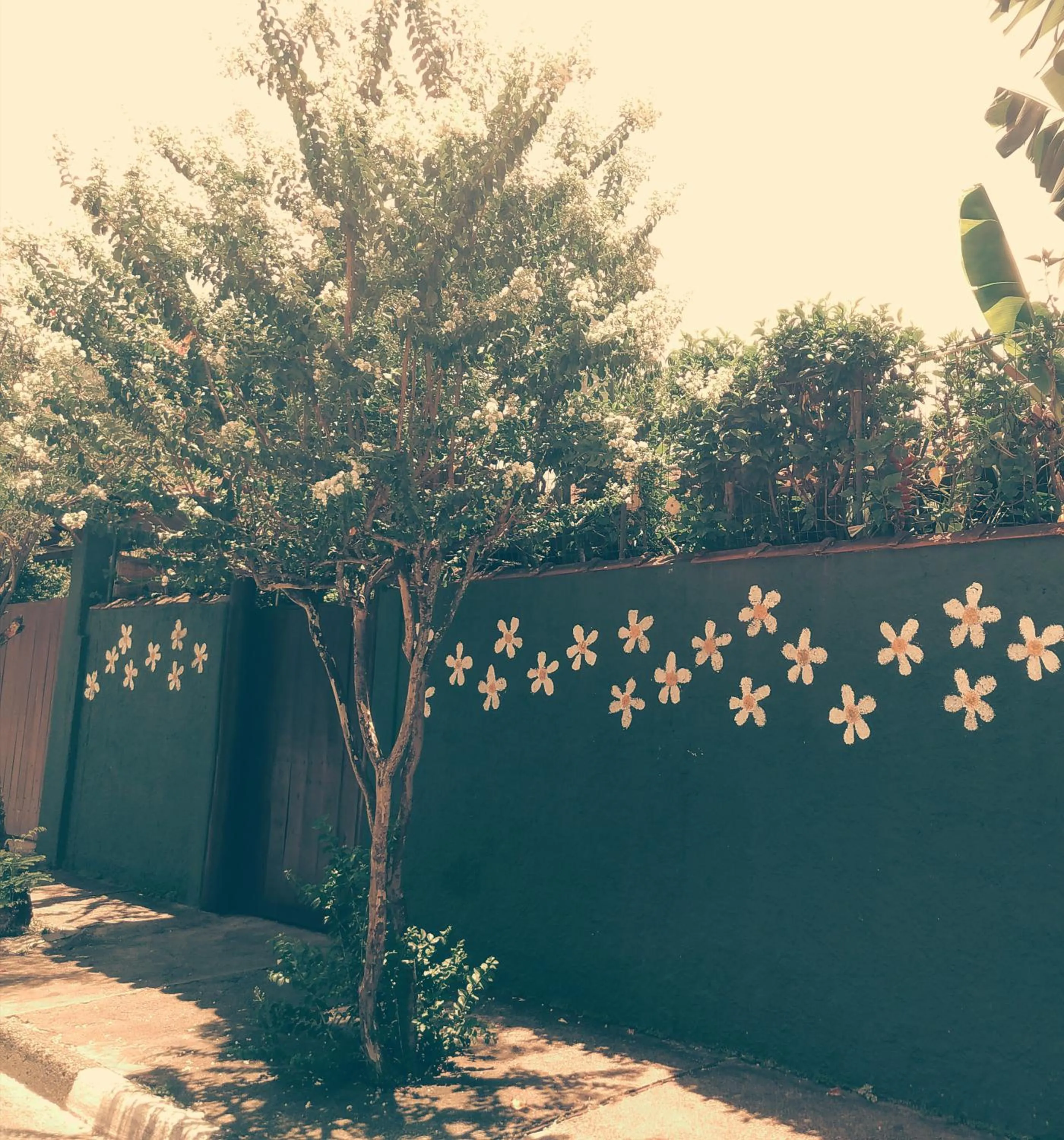 Recanto Toca das Plantas de Ilhabela I