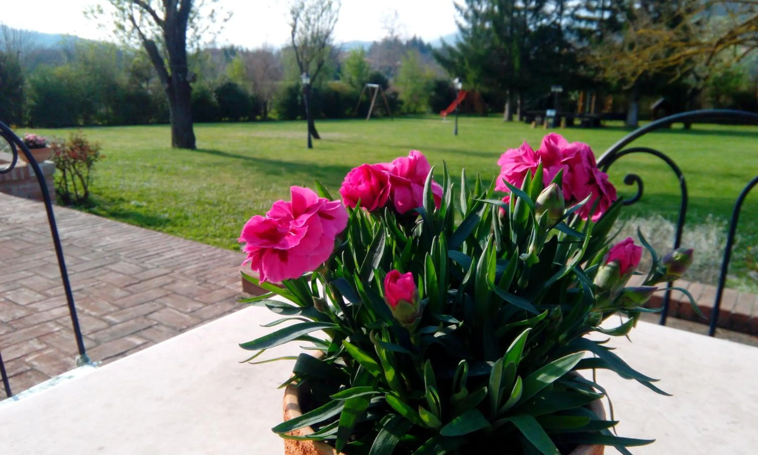 Balcony/Terrace in Parco Ducale Country House
