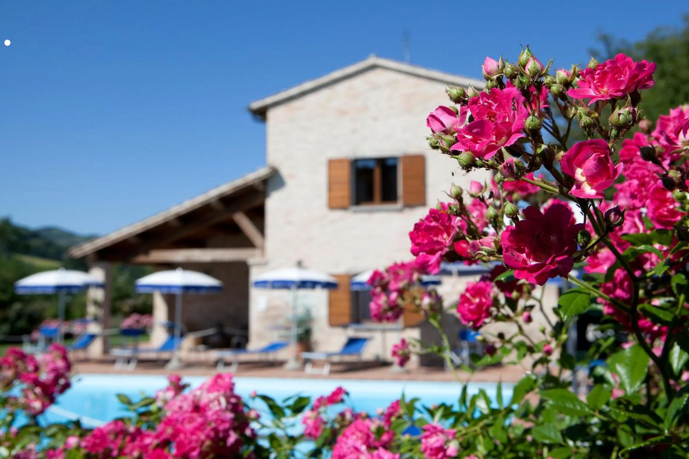 Garden in Parco Ducale Country House