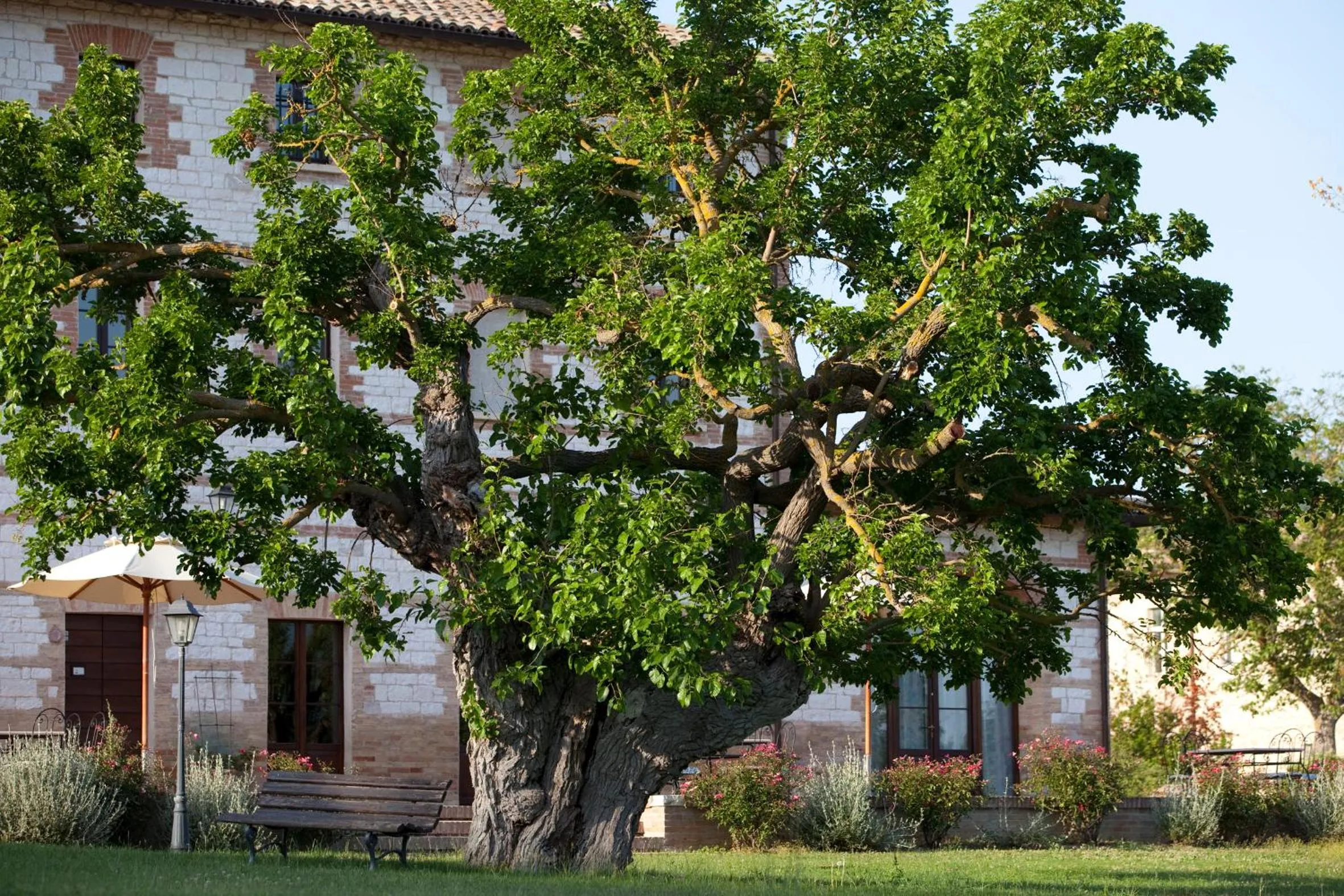 Garden in Parco Ducale Country House