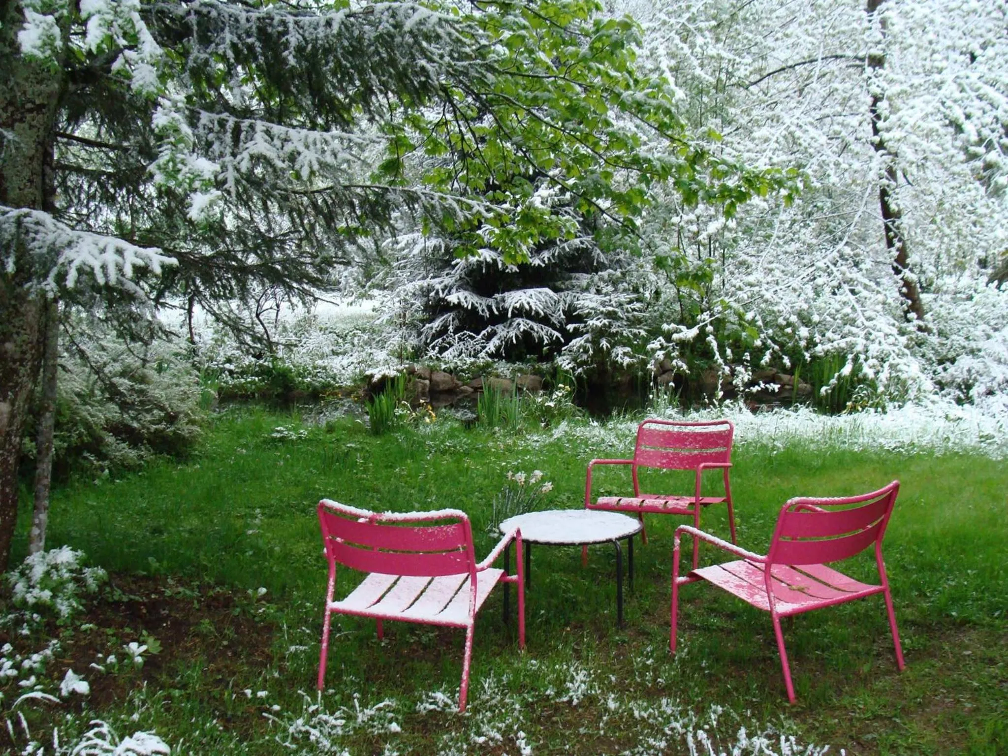 Garden in Hotel am Bach