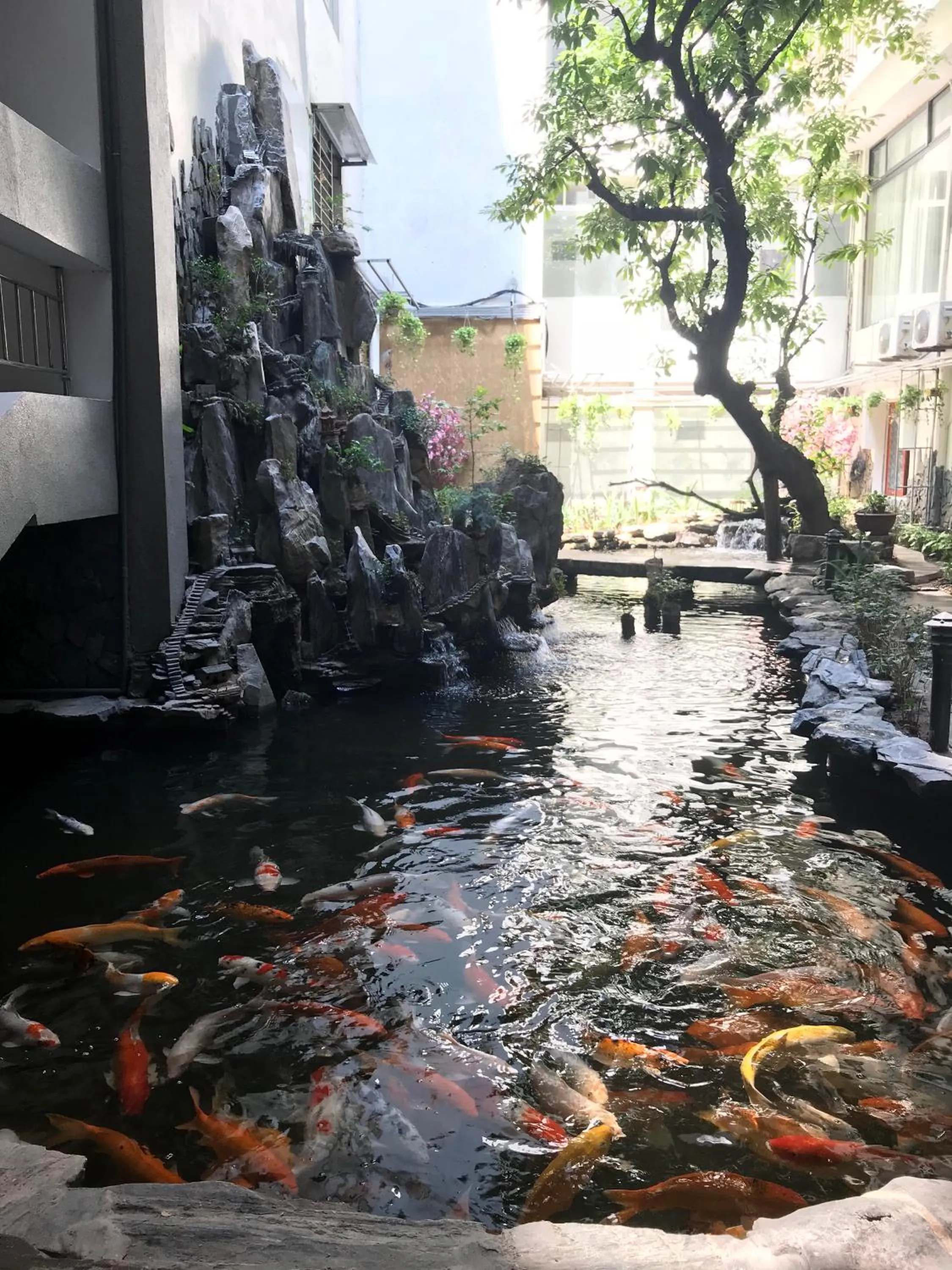 Neighbourhood in Hacinco Hotel