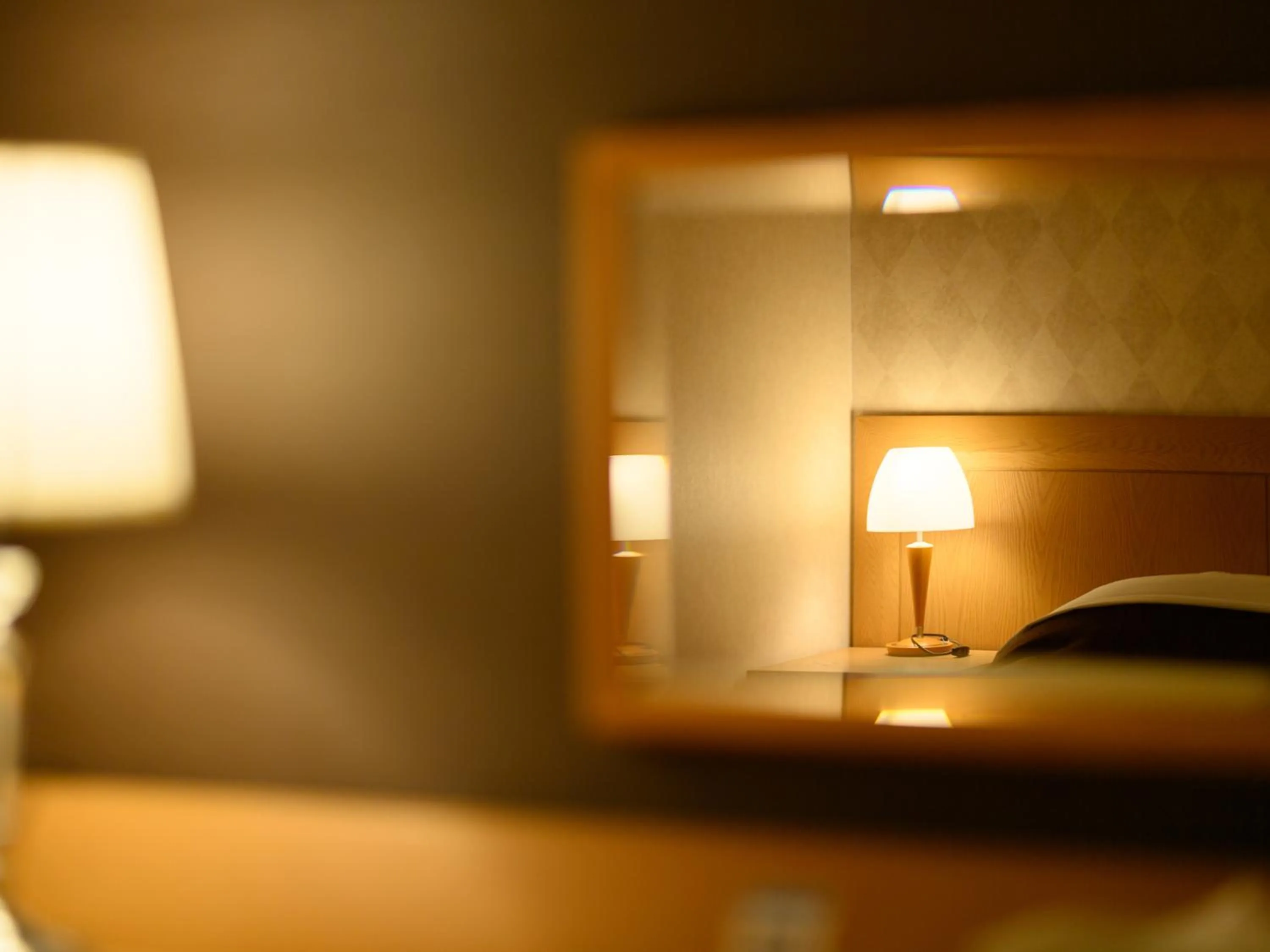 Photo of the whole room, Bed in Sabae City Hotel