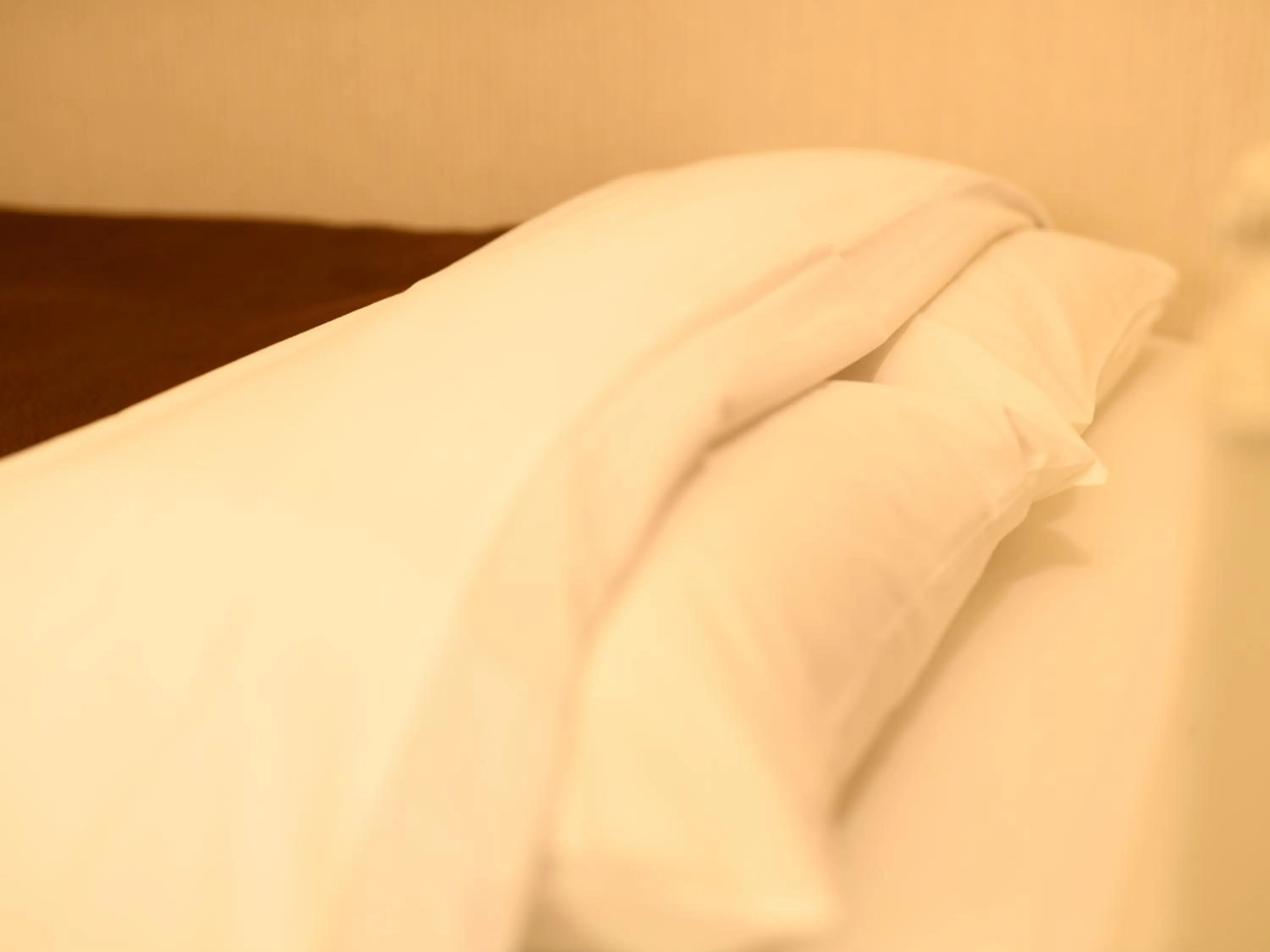 Photo of the whole room, Bed in Sabae City Hotel