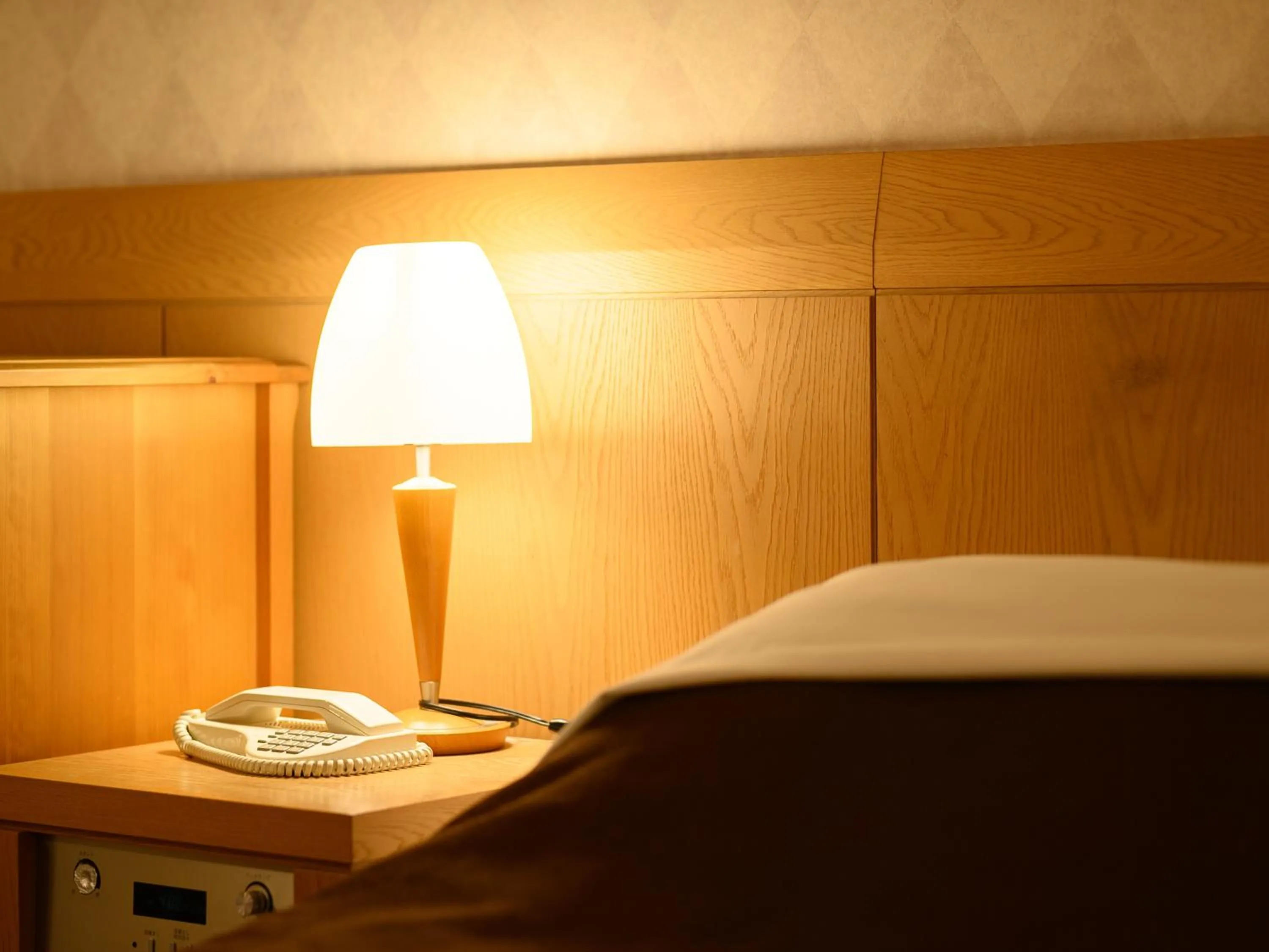 Photo of the whole room, Bed in Sabae City Hotel