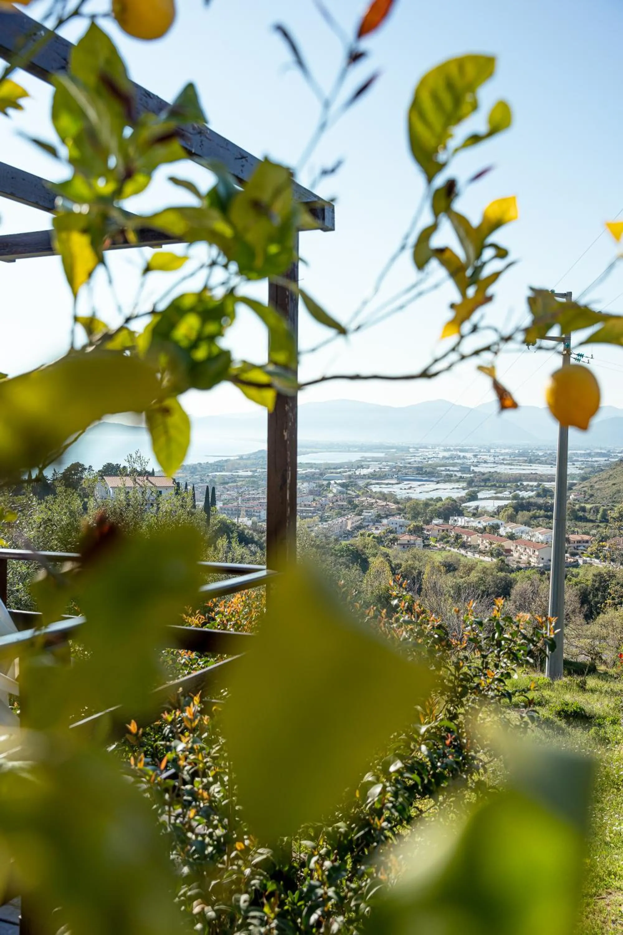 Garden in Hotel Belvedere