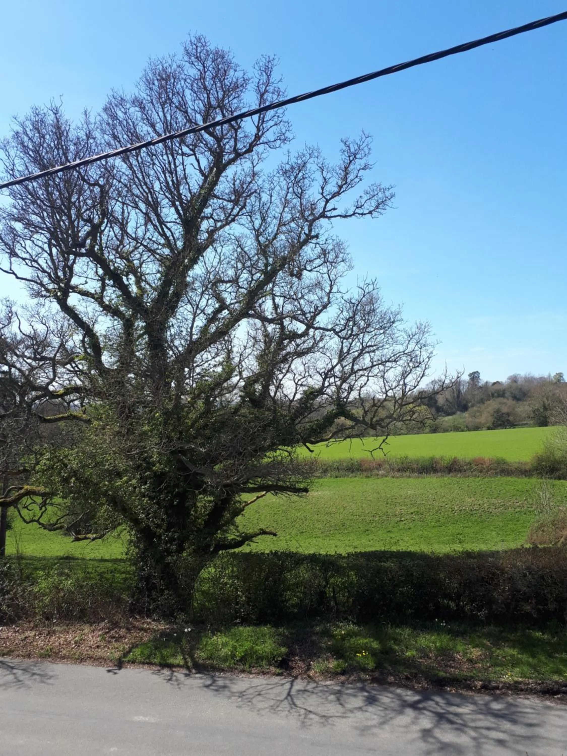 Quiet street view in Court Barn Cottage B&B
