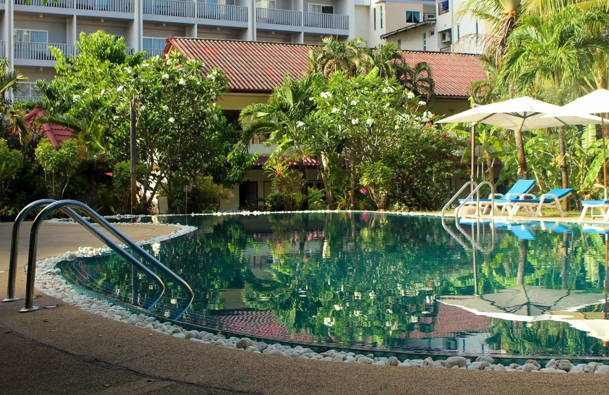 Garden in Patong Palace Hotel - SHA Extra Plus