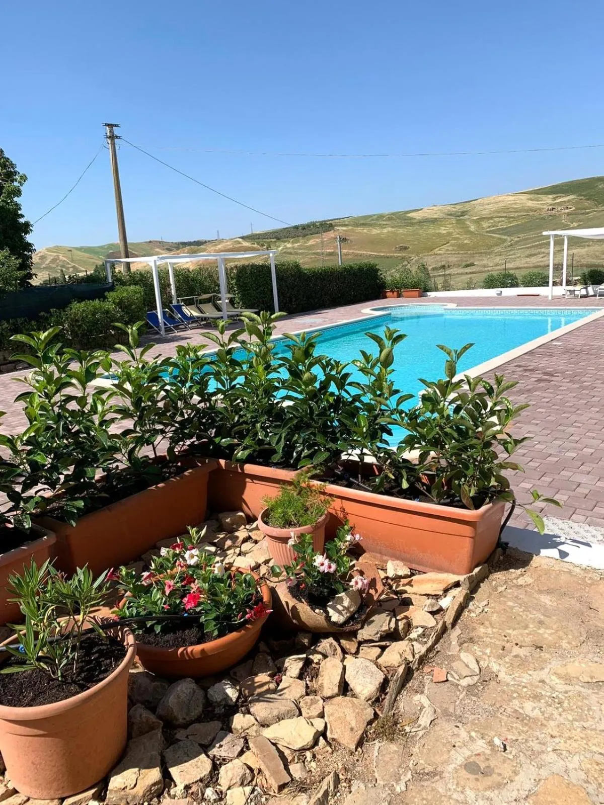 Swimming pool in Agriturismo Sant'Agata