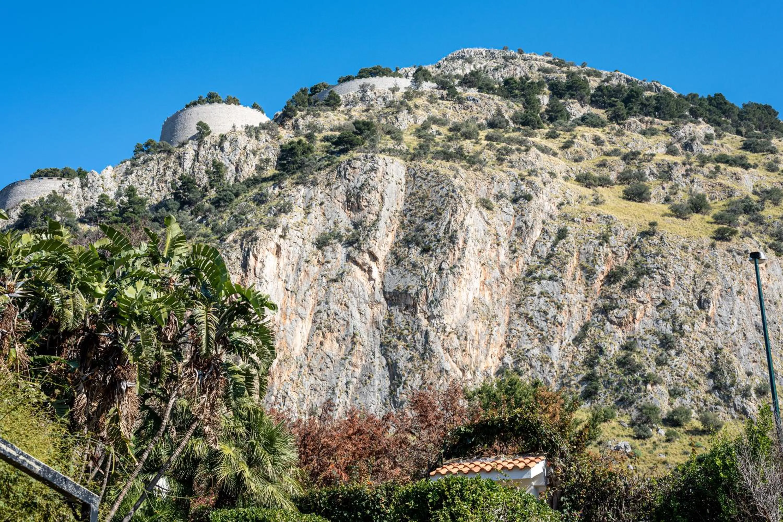 Garden in Bouganville Home Mondello