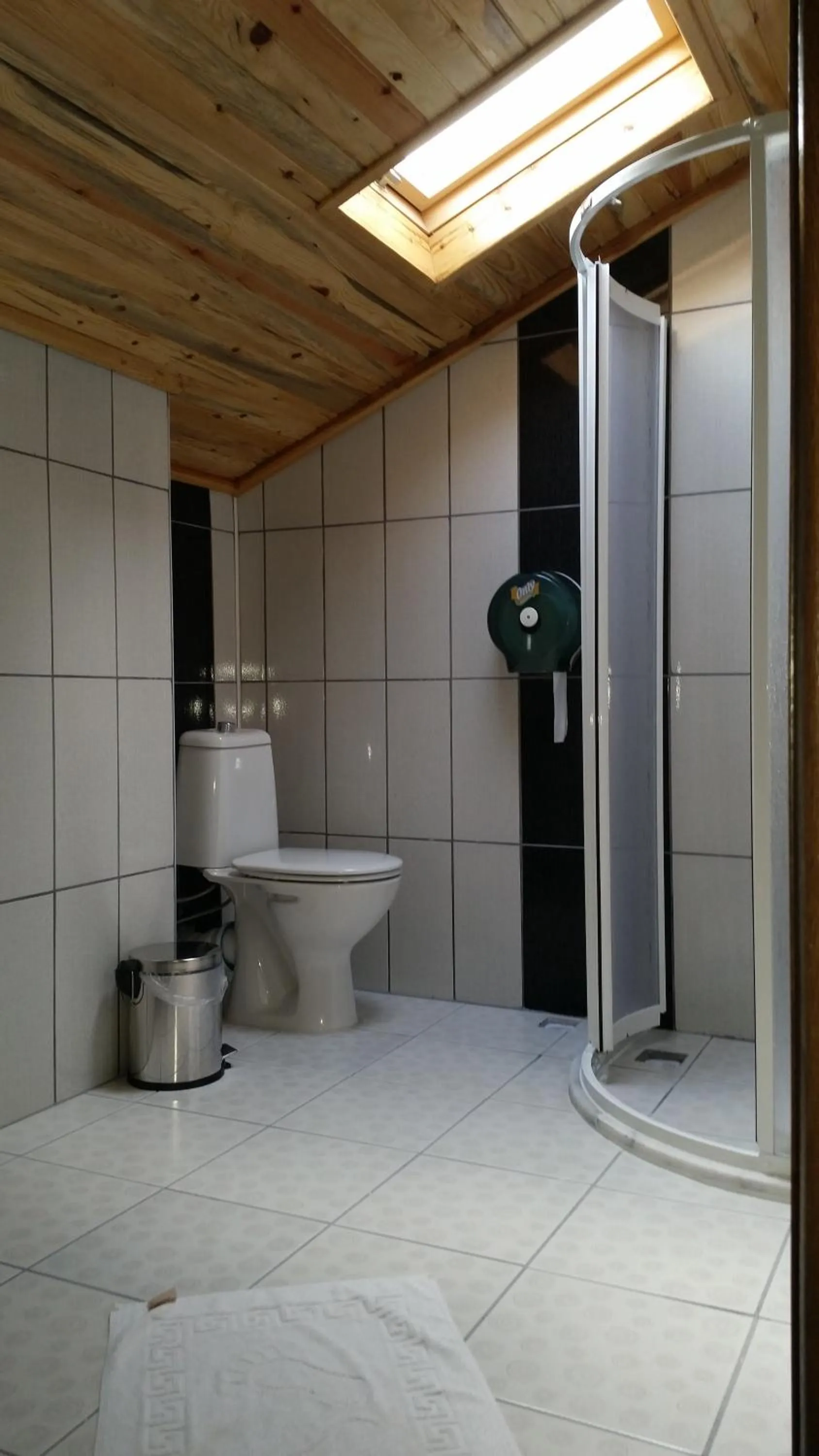 Toilet in Hotel Riverside