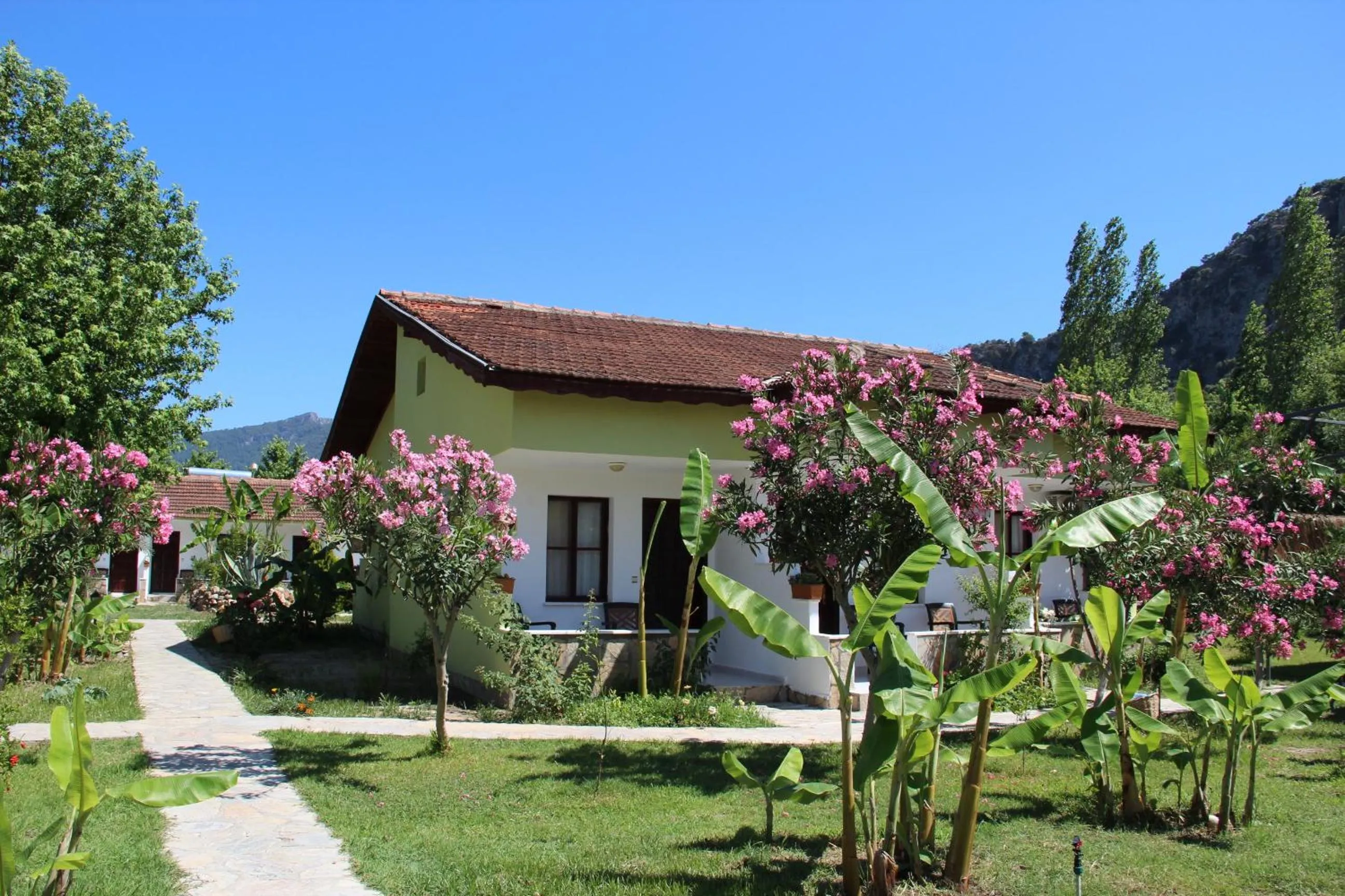 Garden in Hotel Riverside