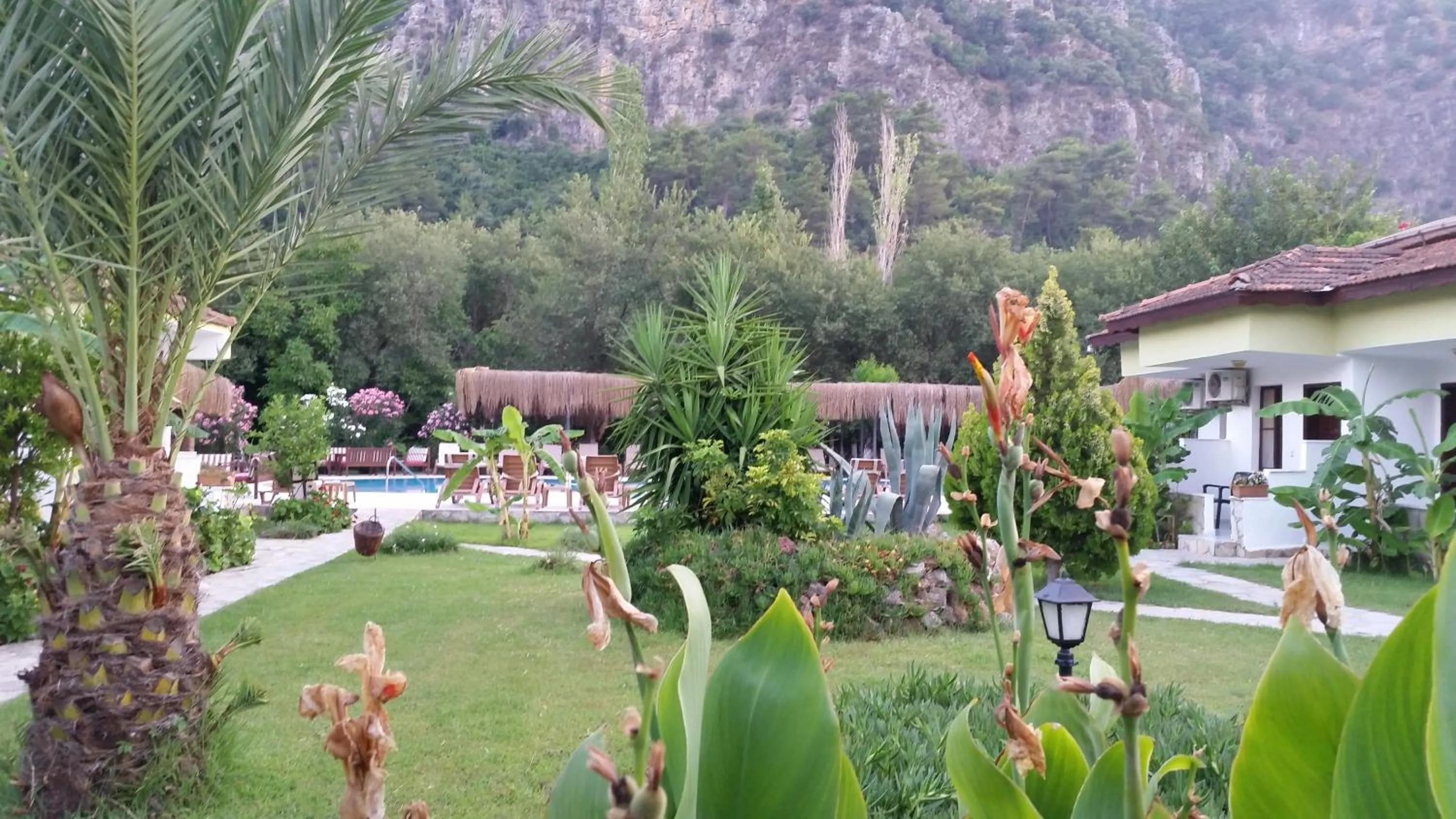 Garden view in Hotel Riverside