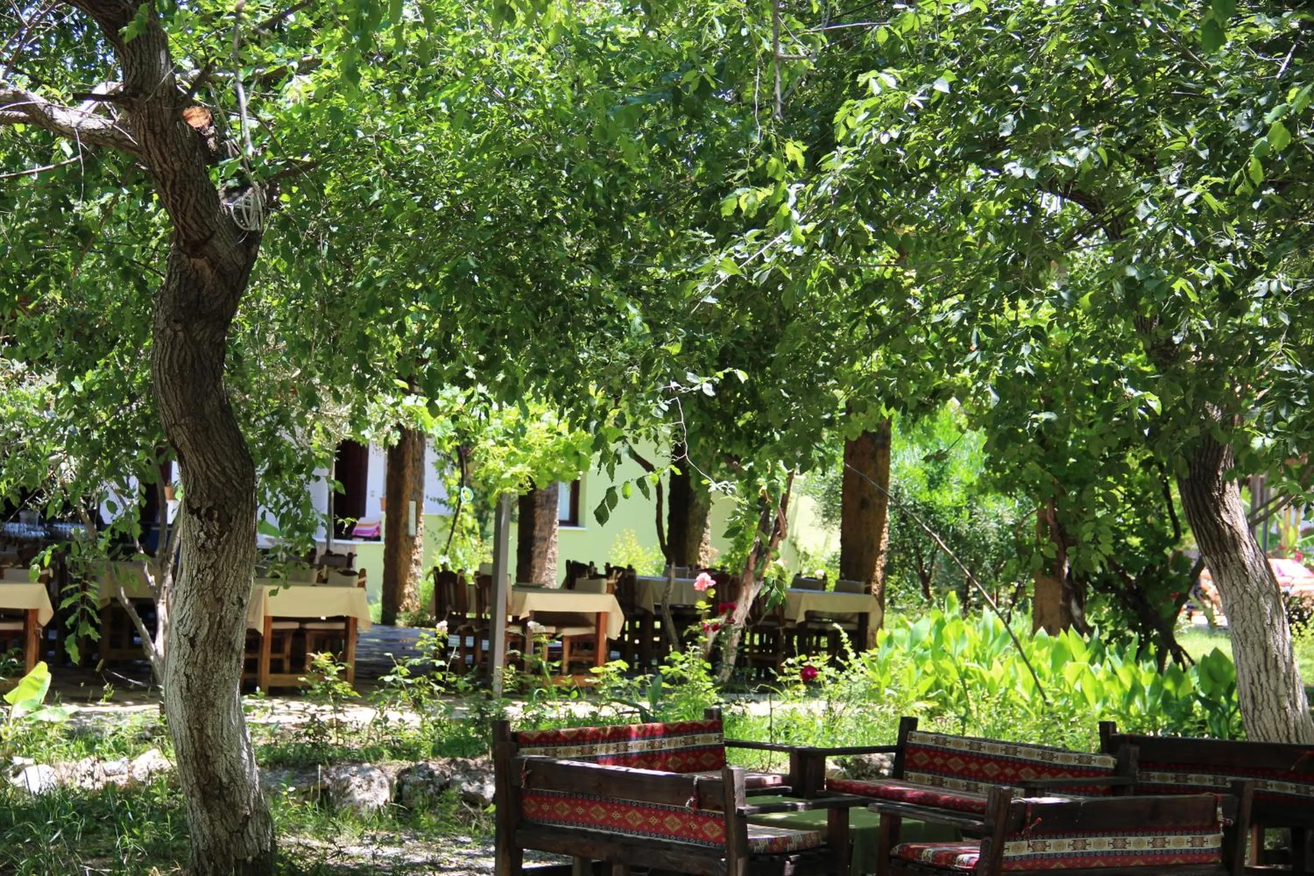 Garden in Hotel Riverside