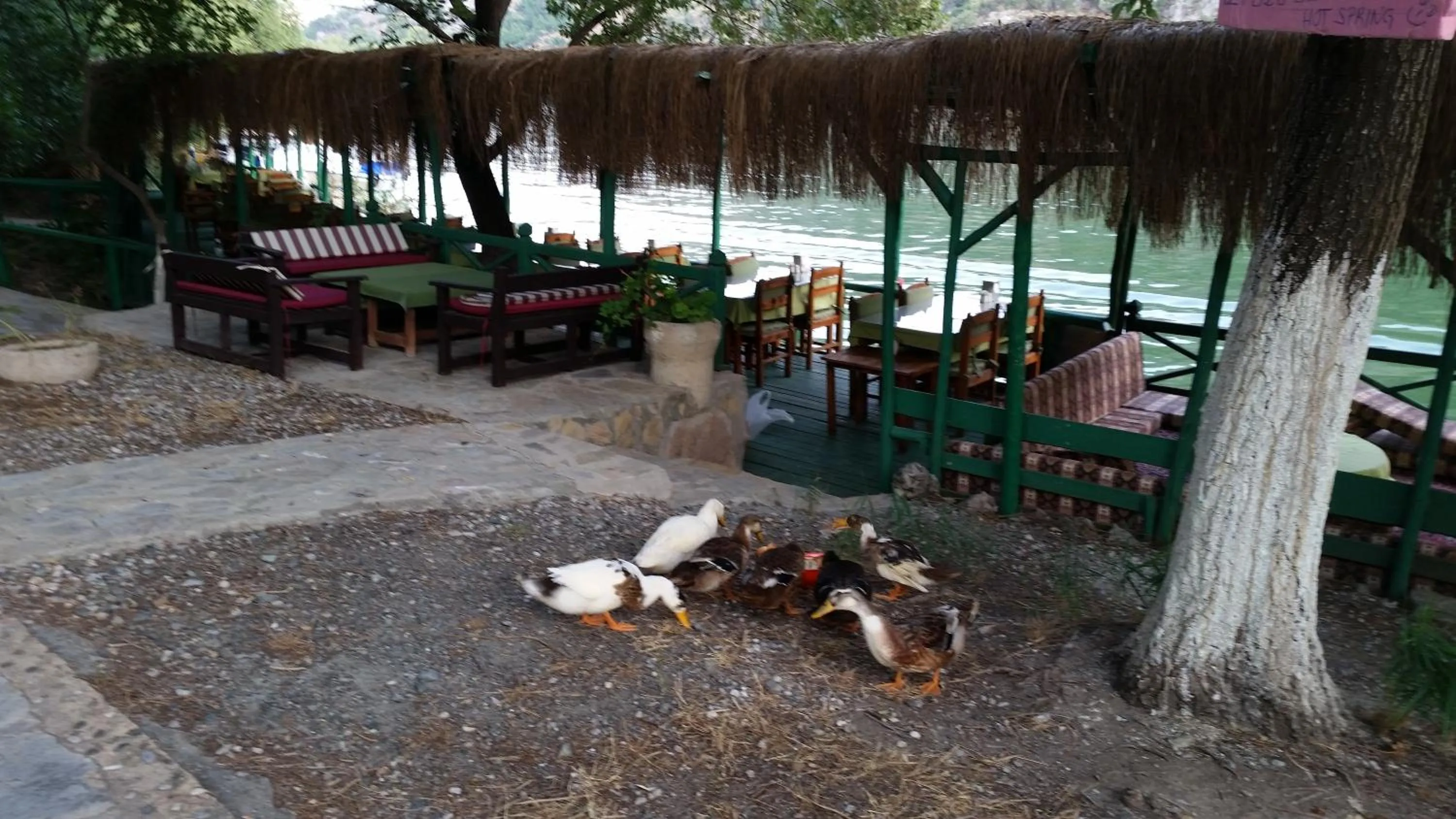 River view in Hotel Riverside