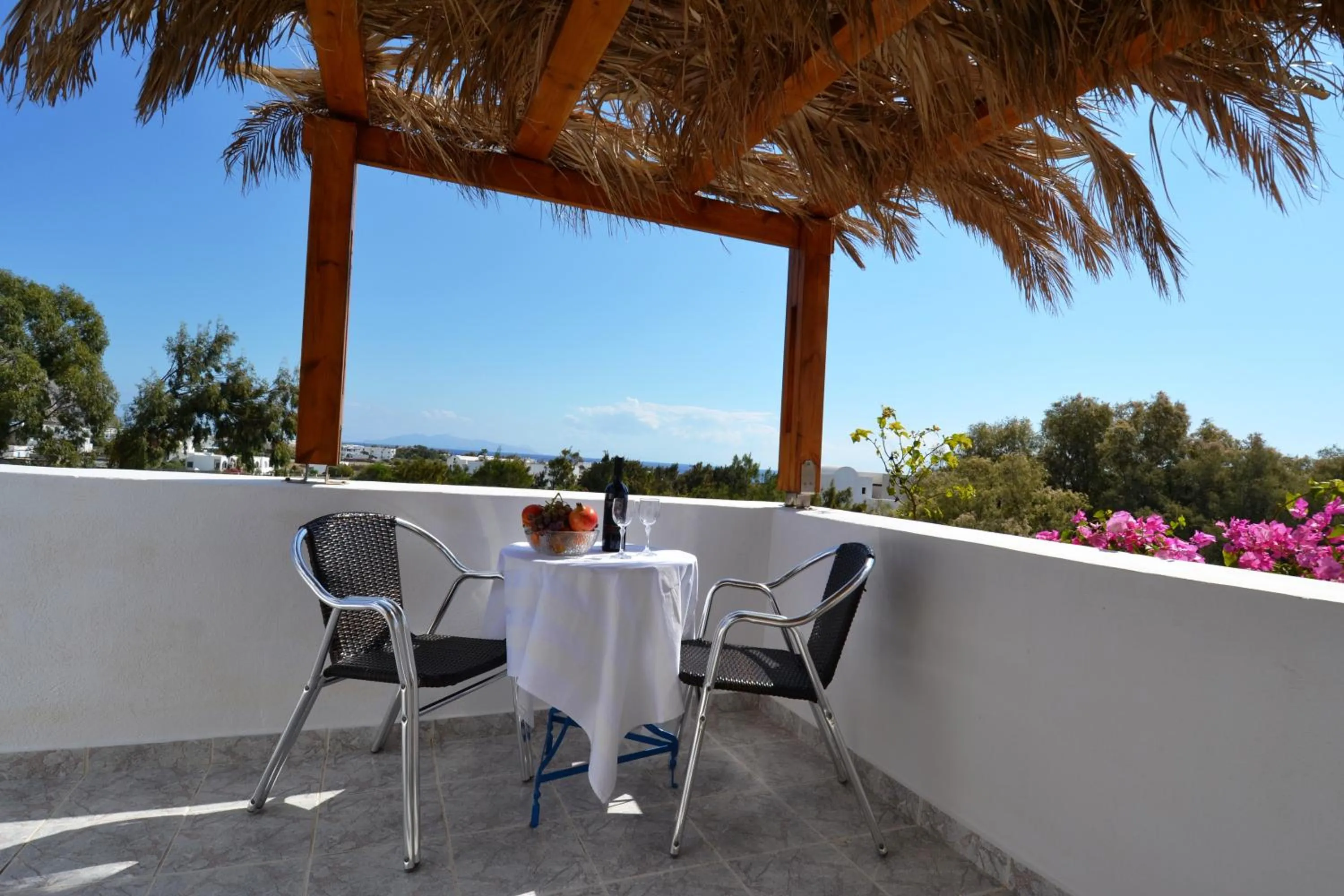 Balcony/Terrace in Villa Georgia