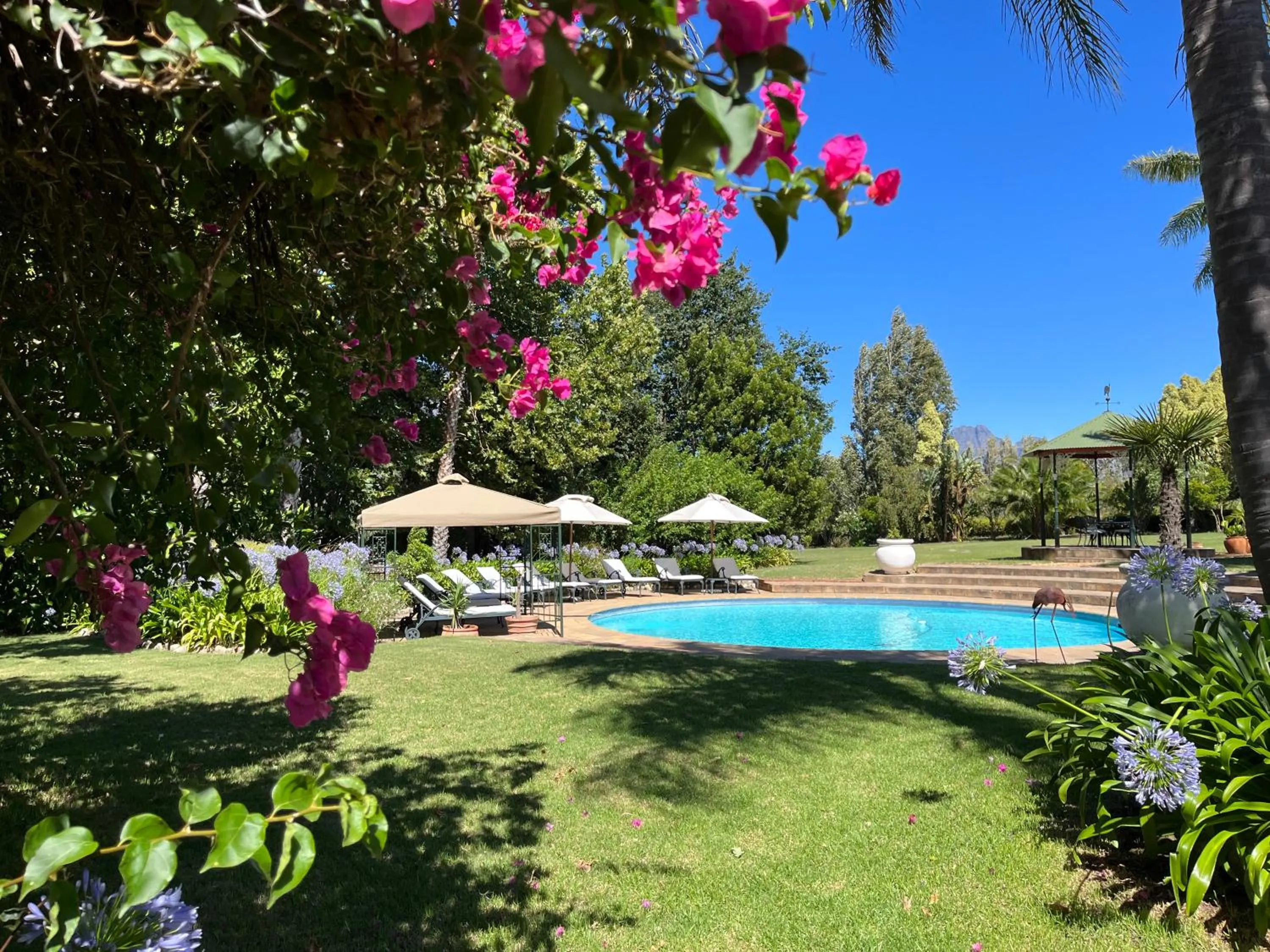 Swimming pool in Le Manoir de Brendel