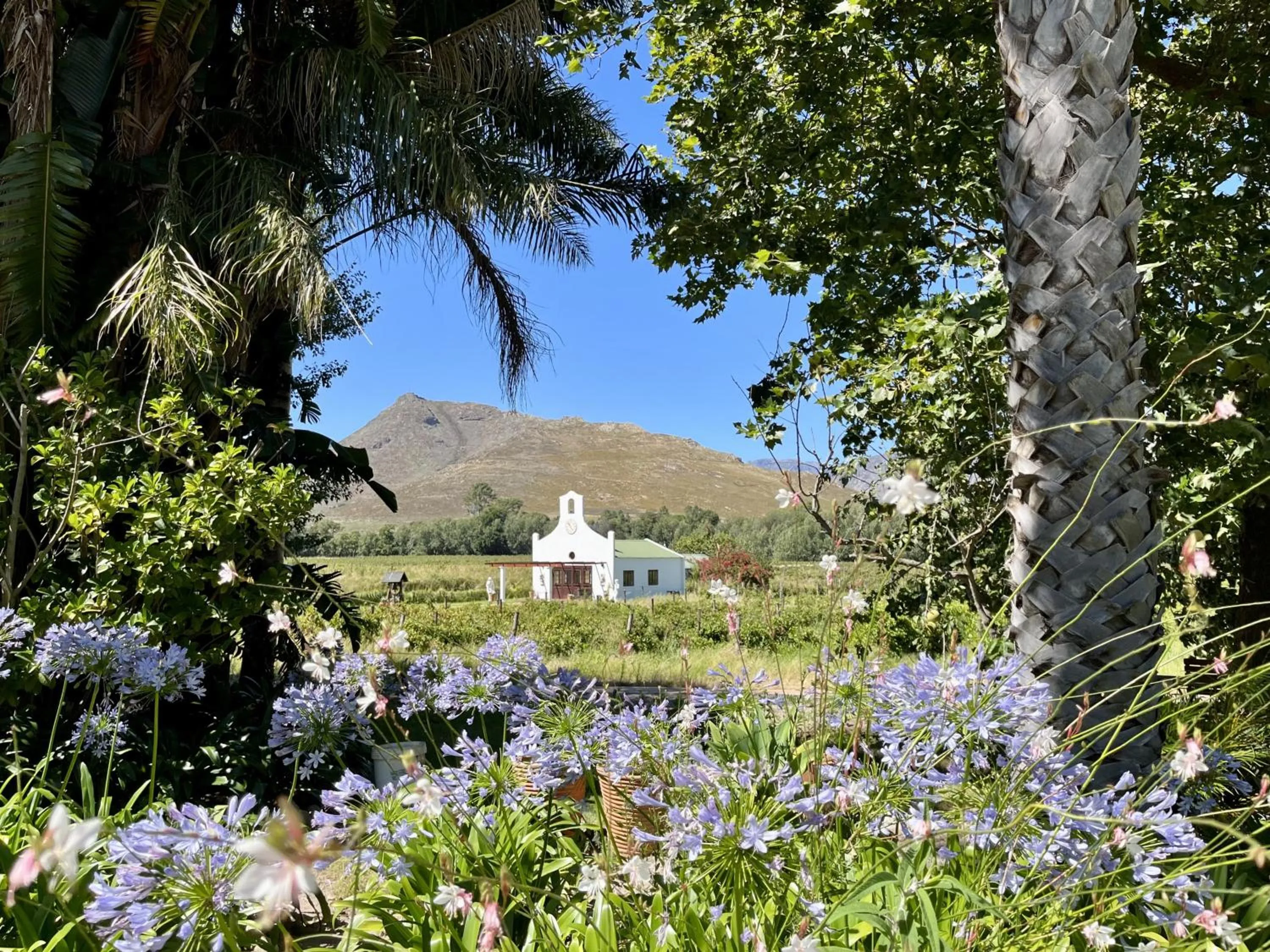 Garden view in Le Manoir de Brendel