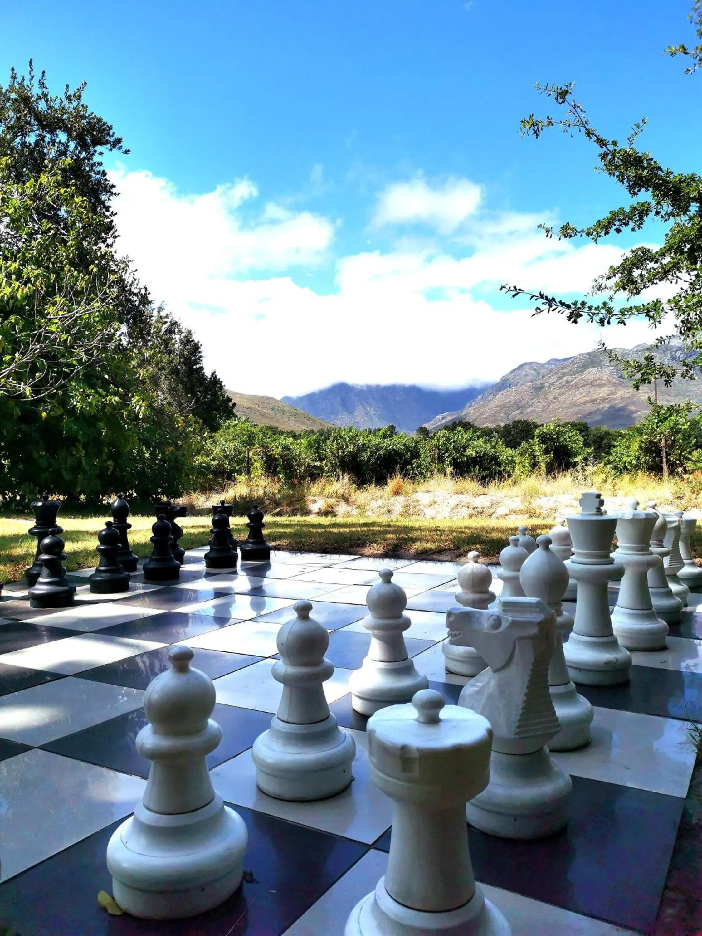 Garden view in Le Manoir de Brendel