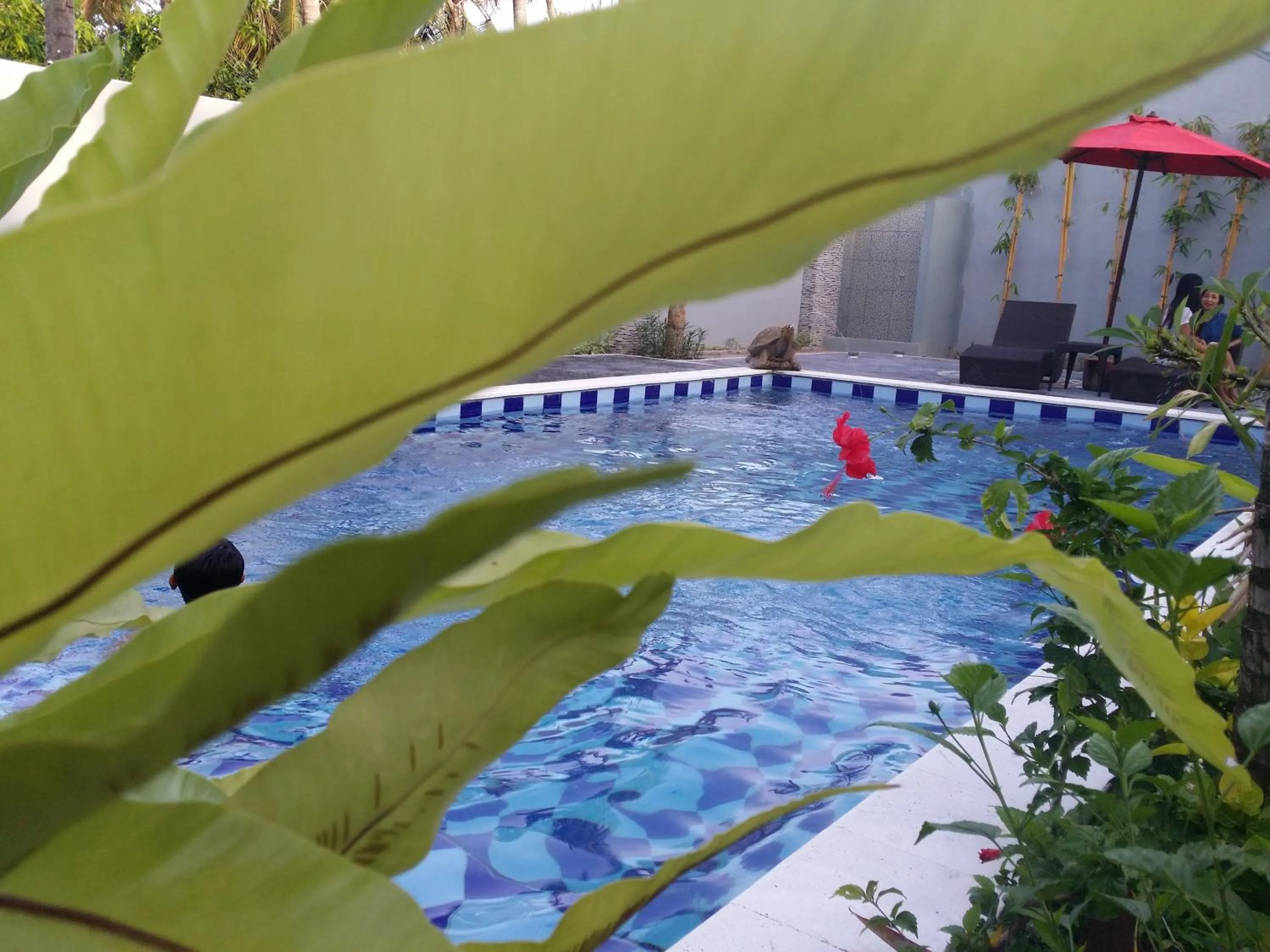 Pool view in Palm Bamboo Hotel