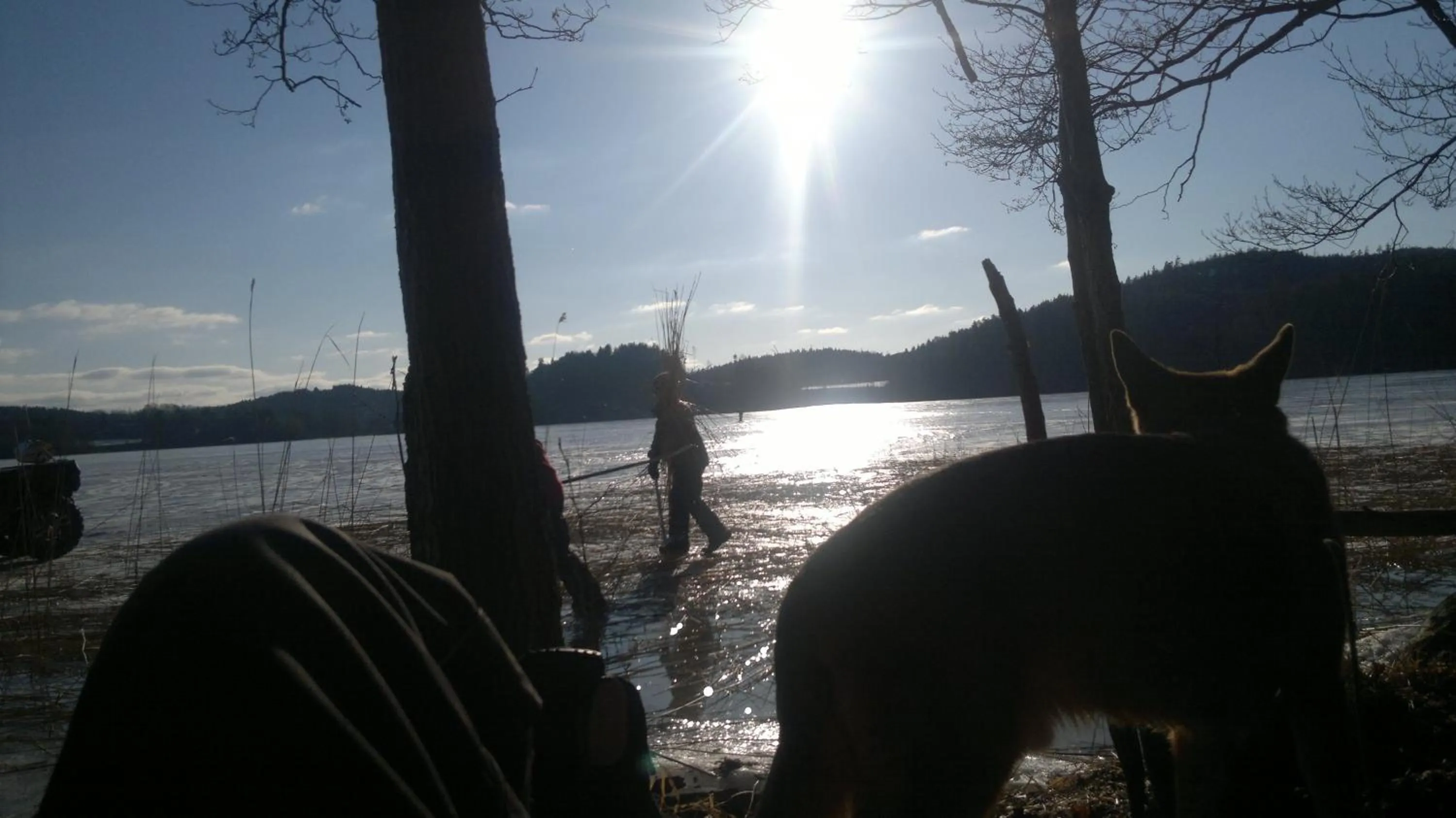 Pets in Älgbergets Bed & Breakfast