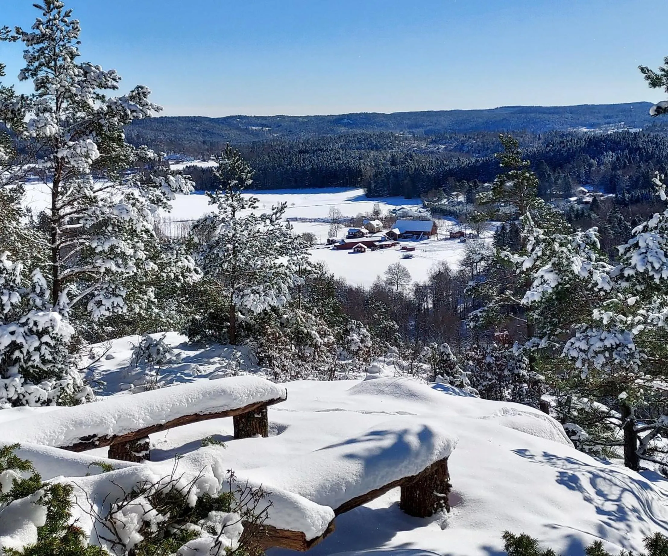 Natural landscape in Älgbergets Bed & Breakfast