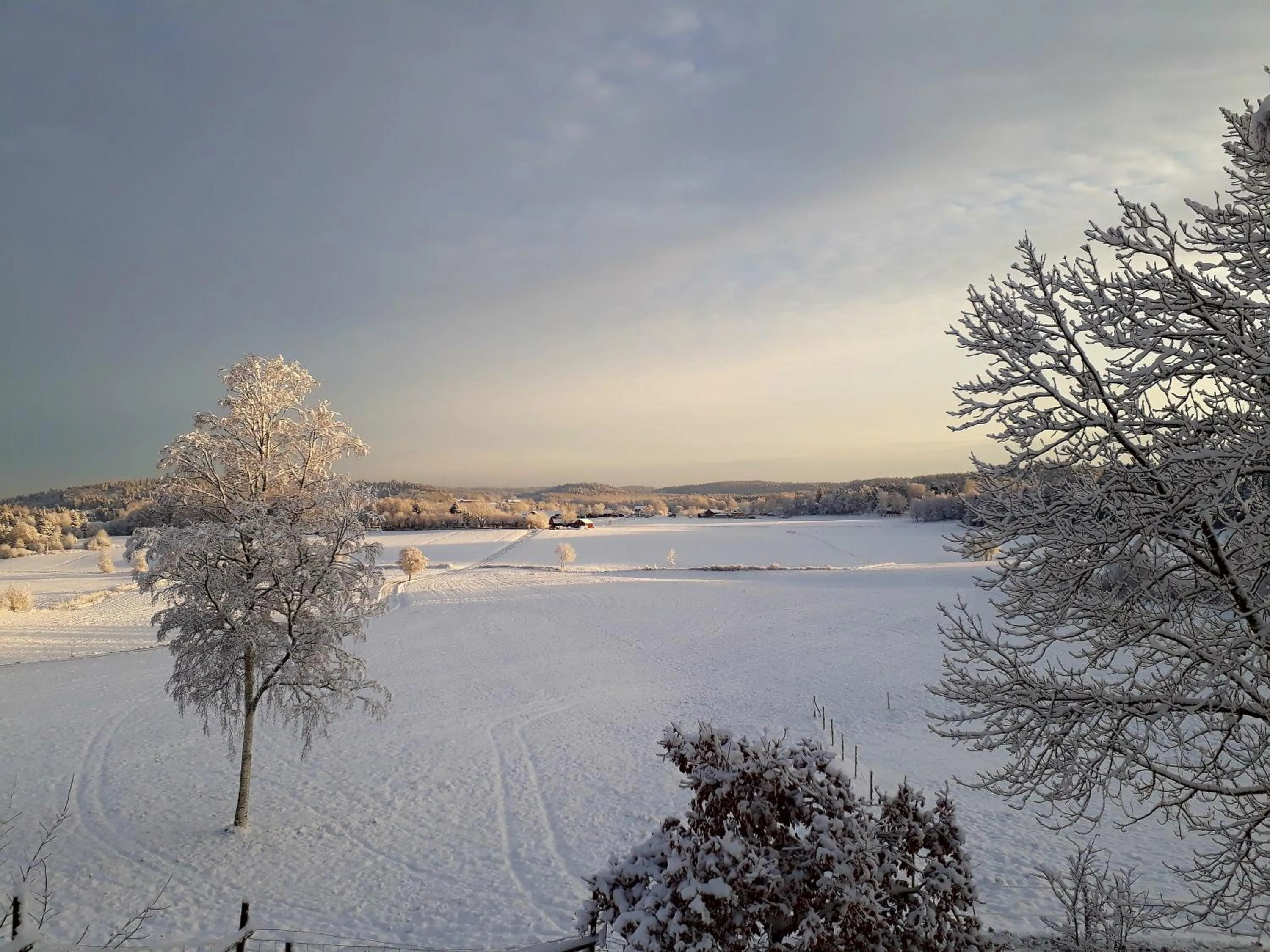 Älgbergets Bed & Breakfast