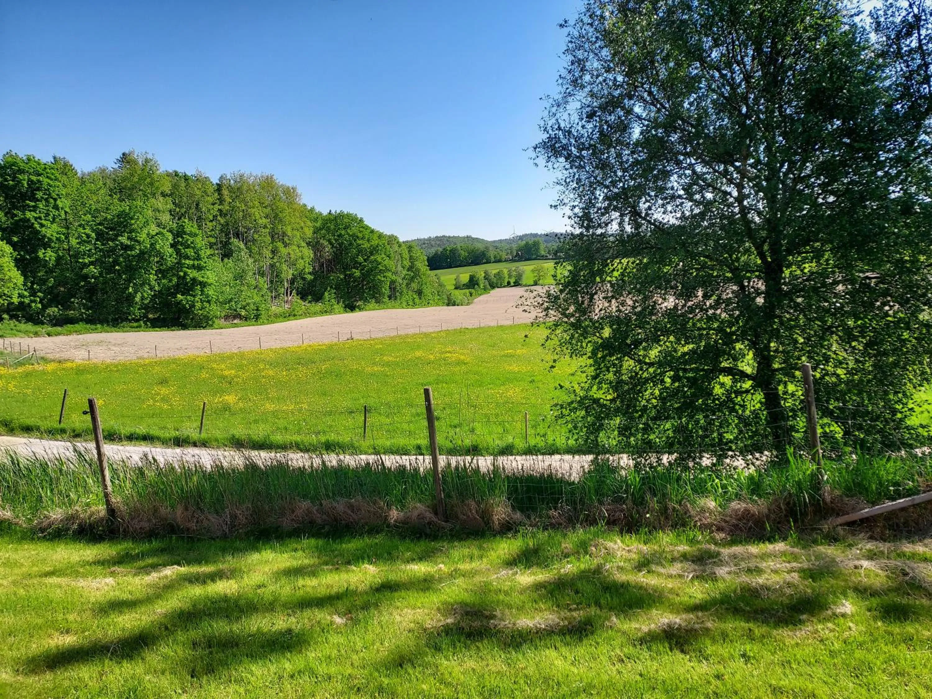 Natural landscape in Älgbergets Bed & Breakfast