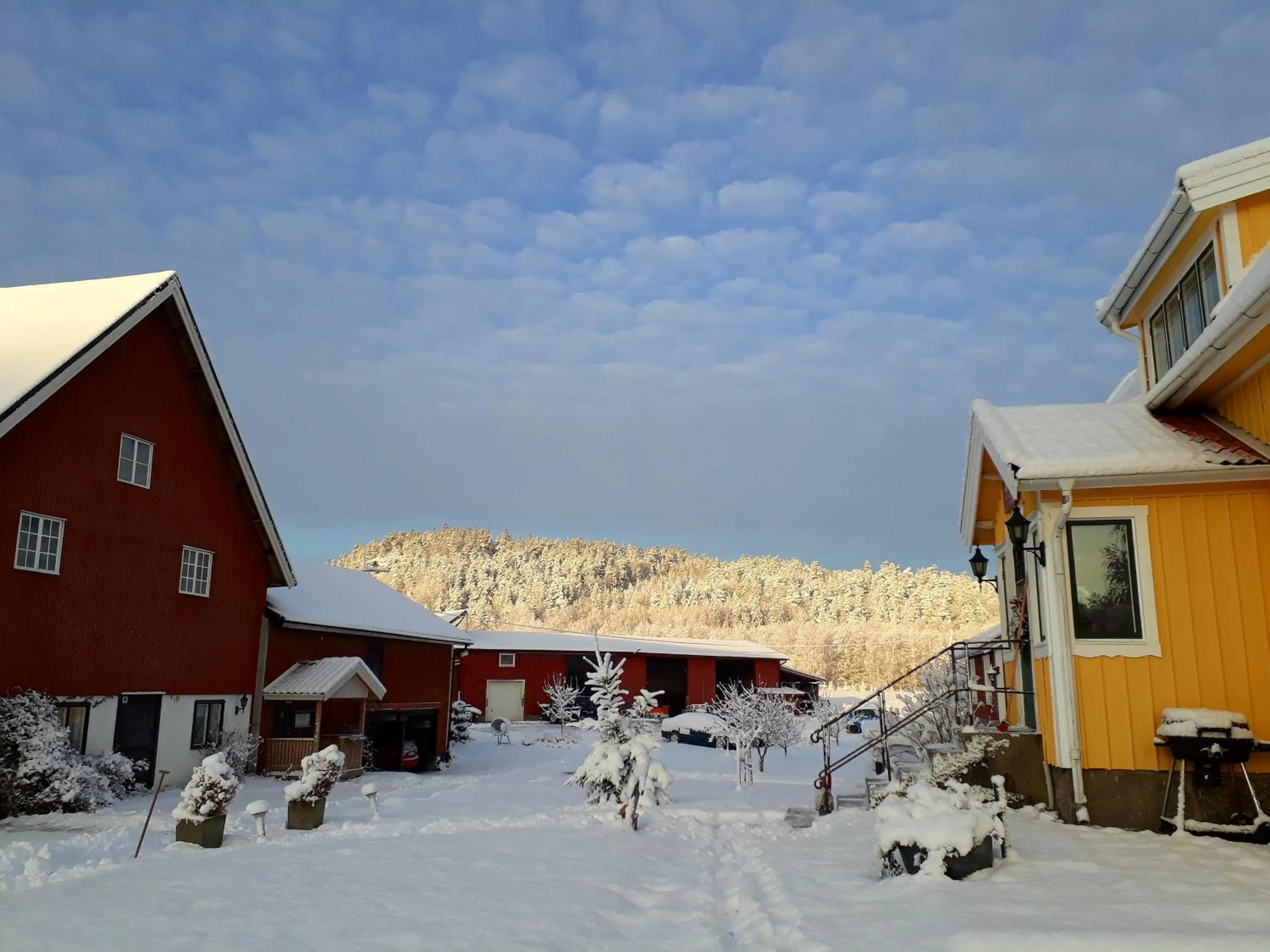 Älgbergets Bed & Breakfast