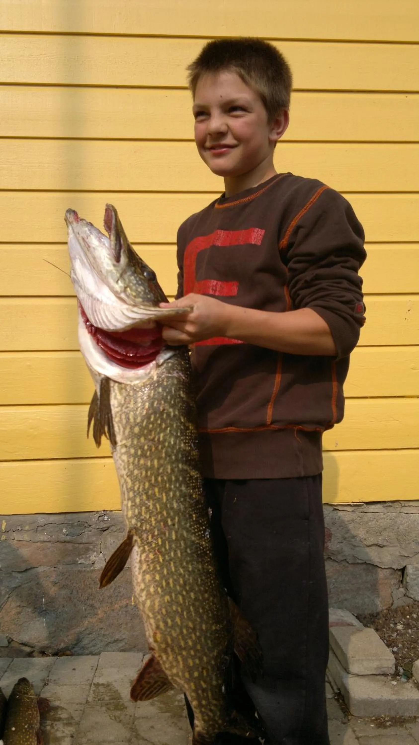 Animals in Älgbergets Bed & Breakfast