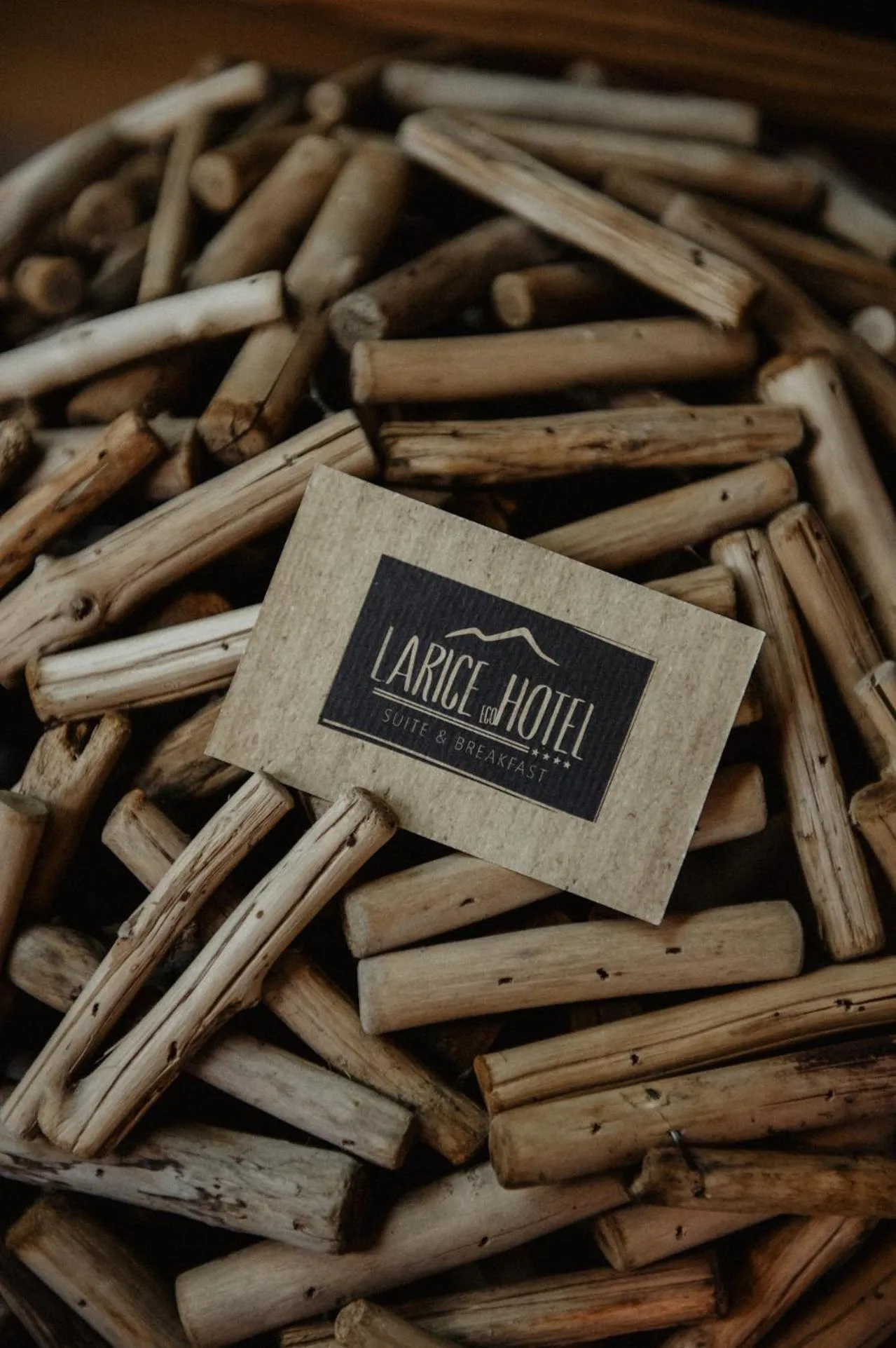 Property logo or sign in Hotel Larice