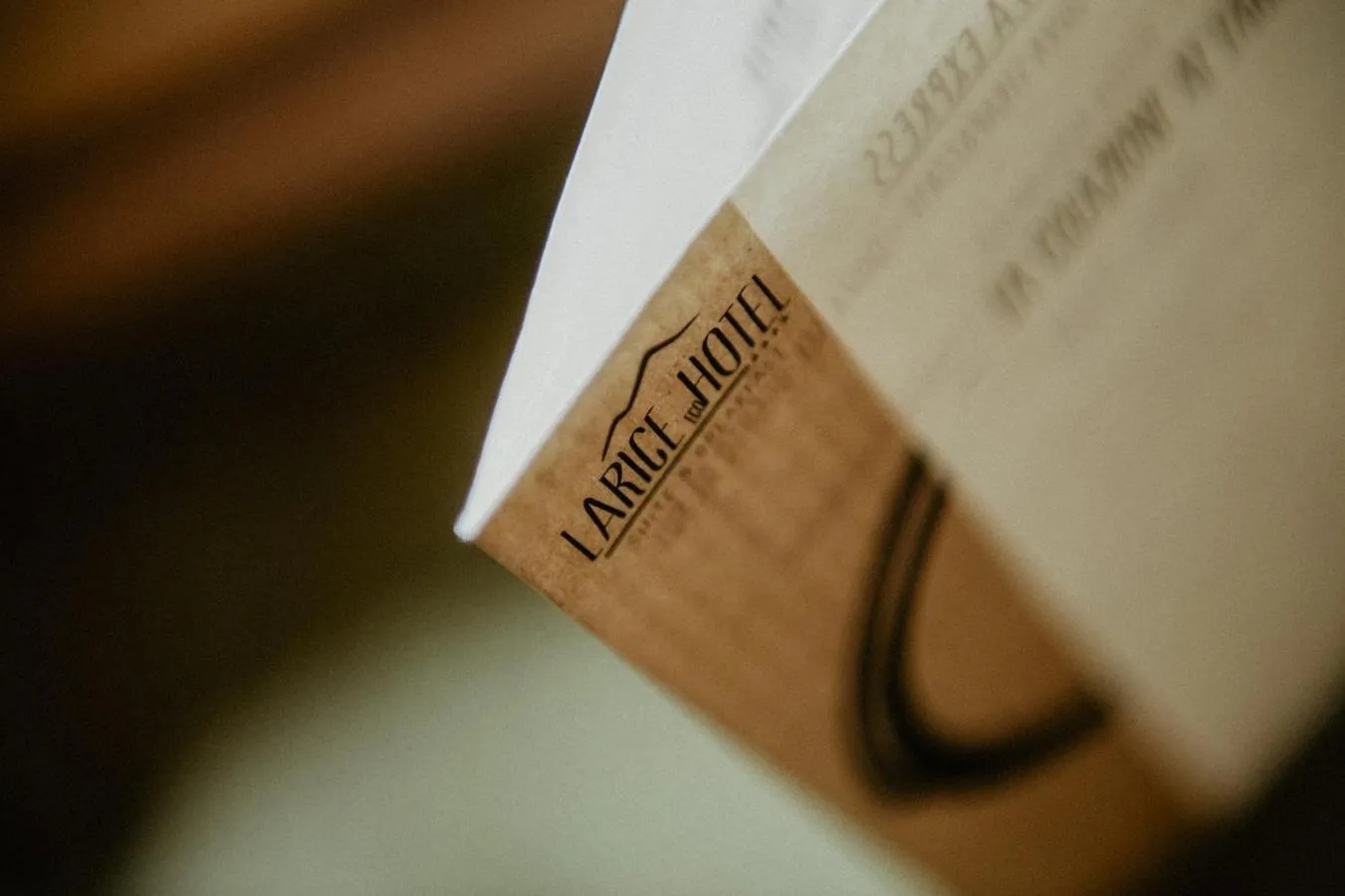 Property logo or sign in Hotel Larice