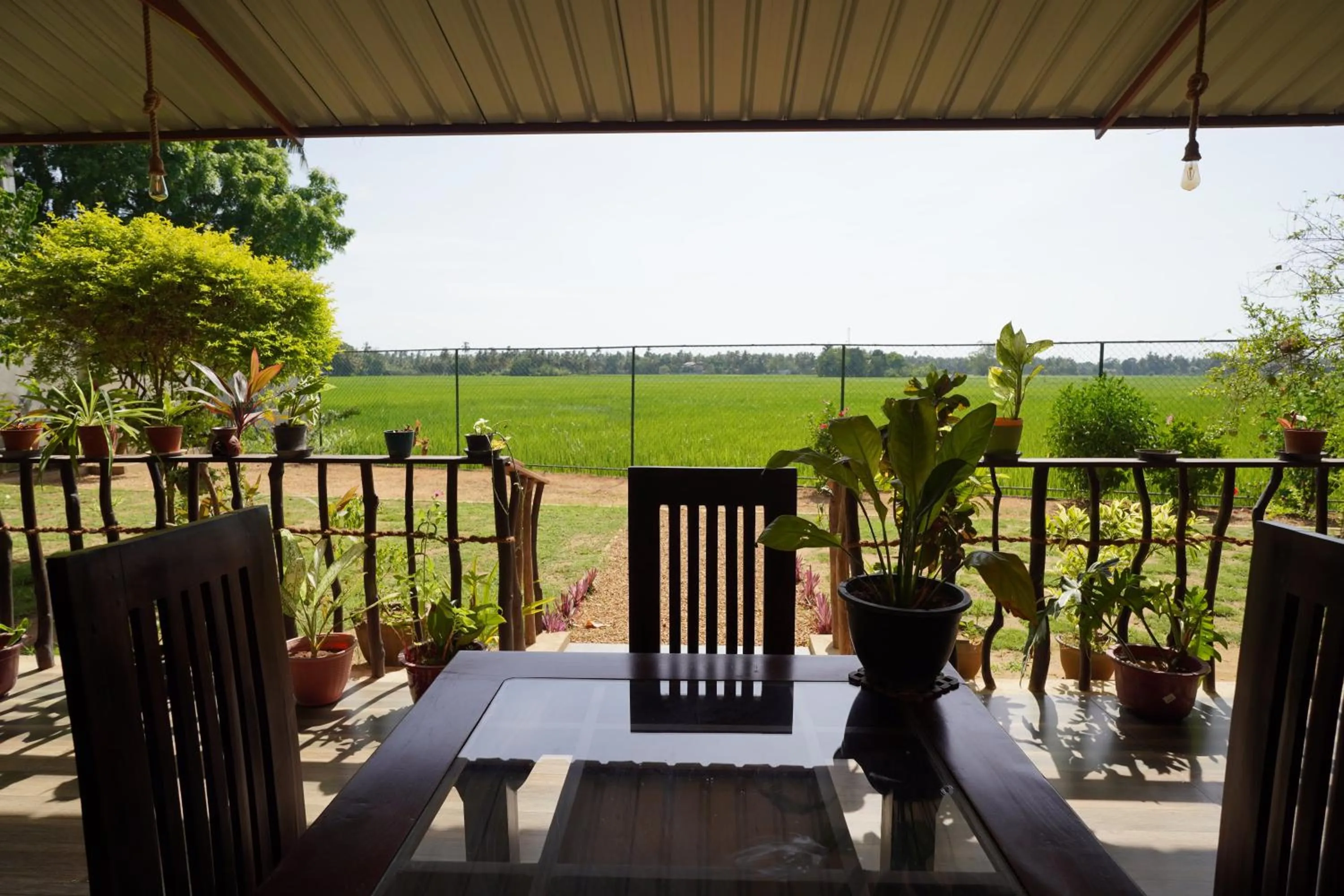 Lavender Home Yala Safari