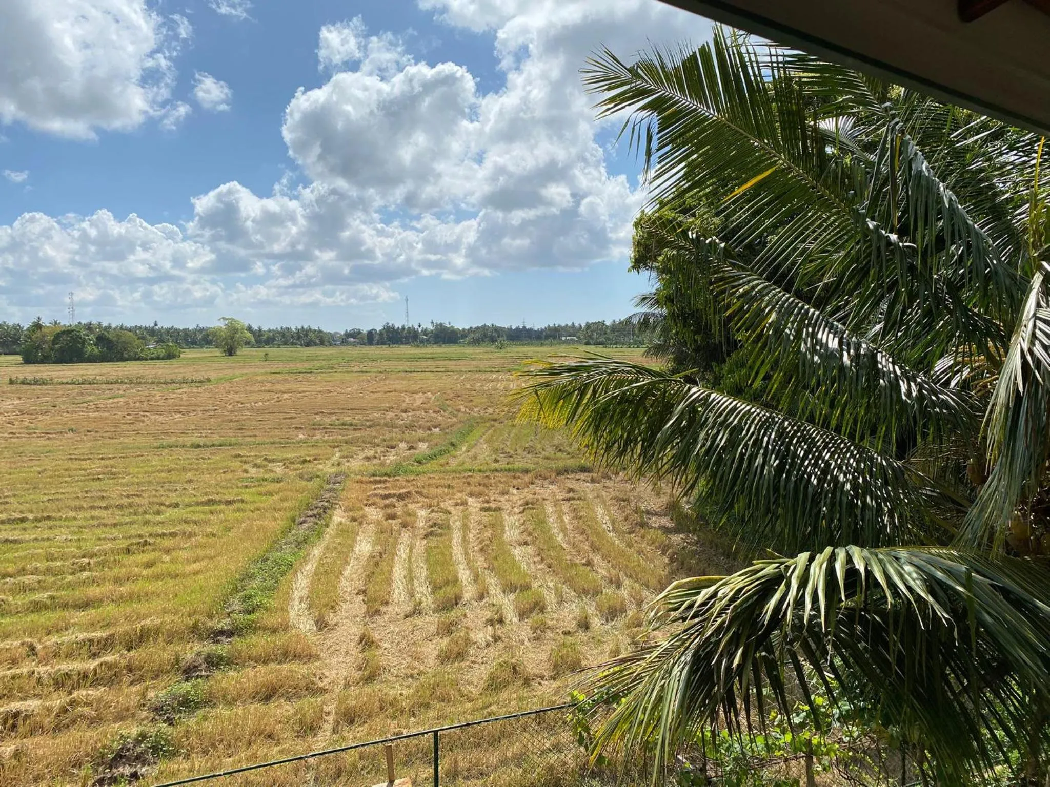 Lavender Home Yala Safari