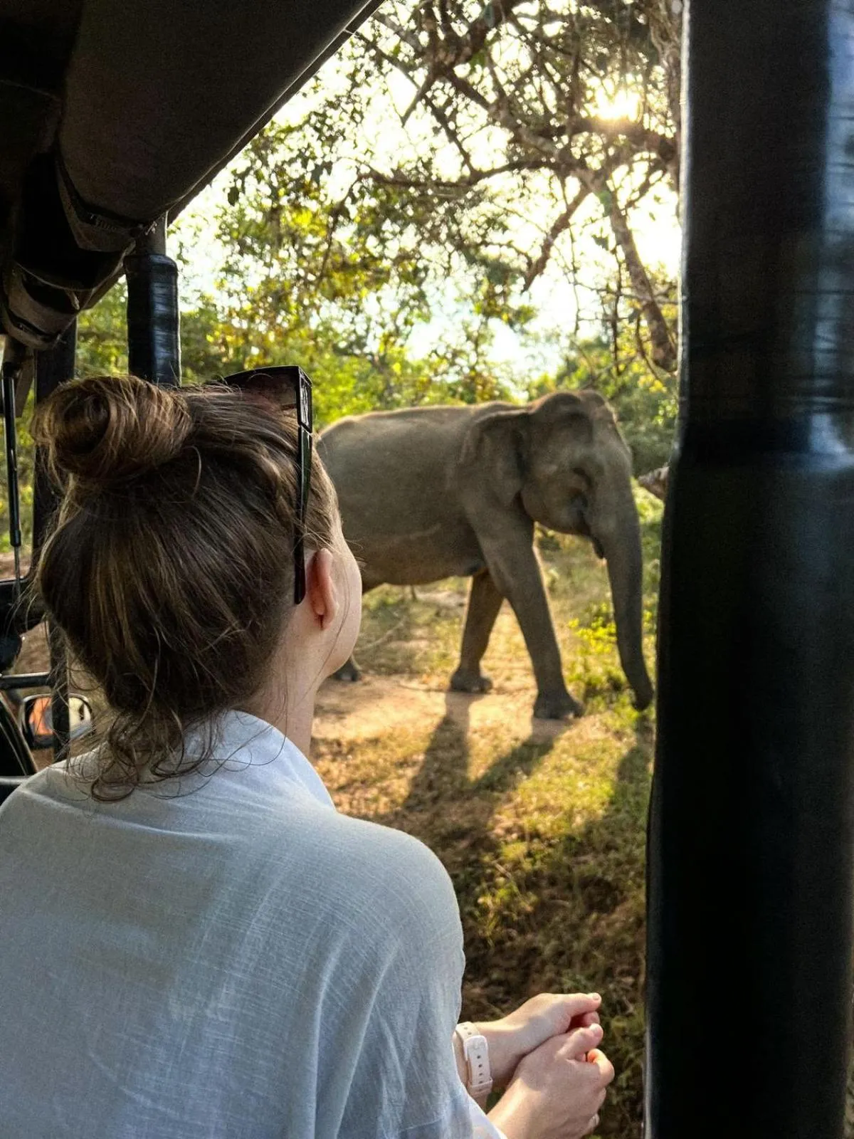 People in Lavender Home Yala Safari