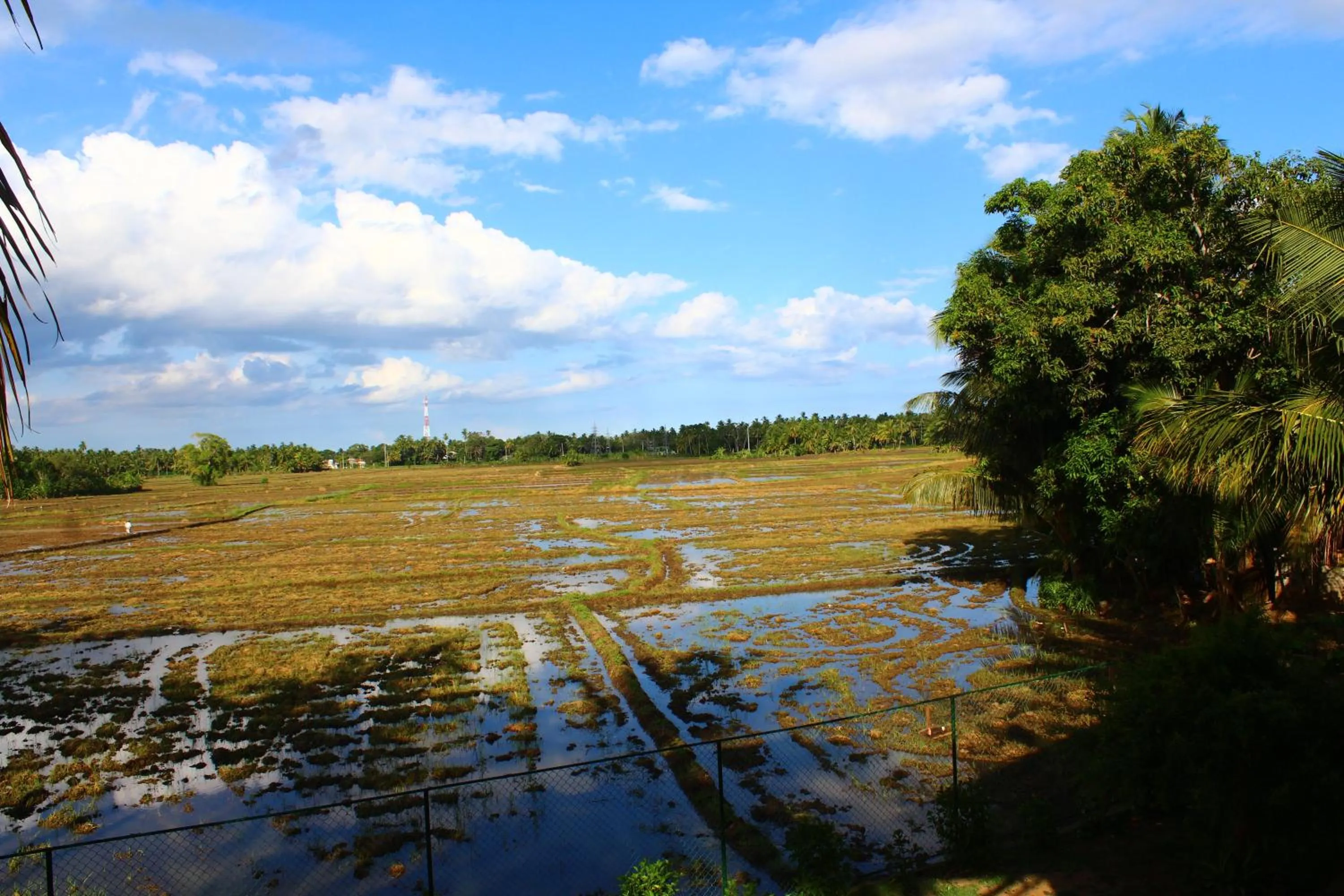 Natural landscape in Lavender Home Yala Safari