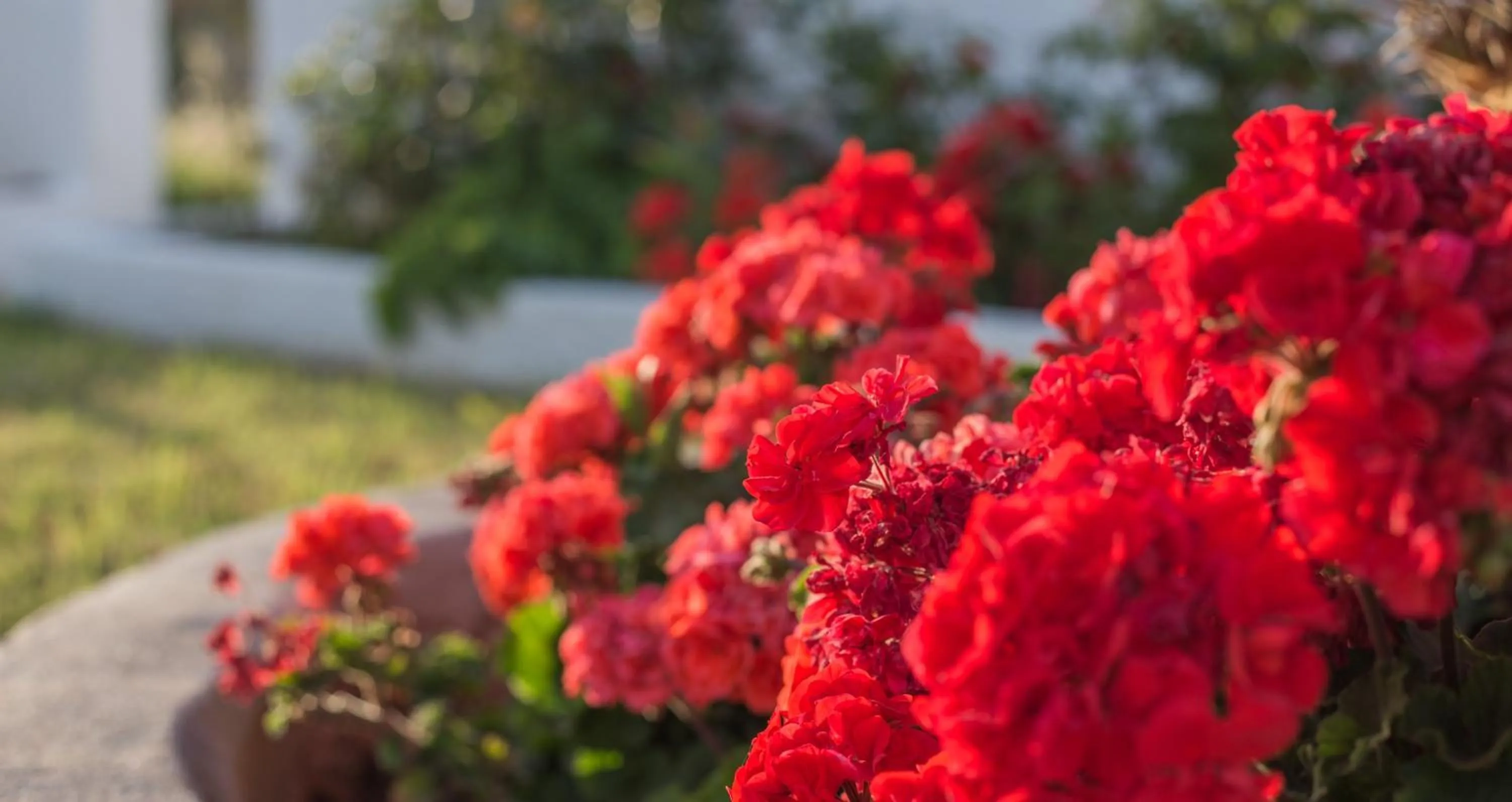 Property building in Venti Seaside Adult Hotel