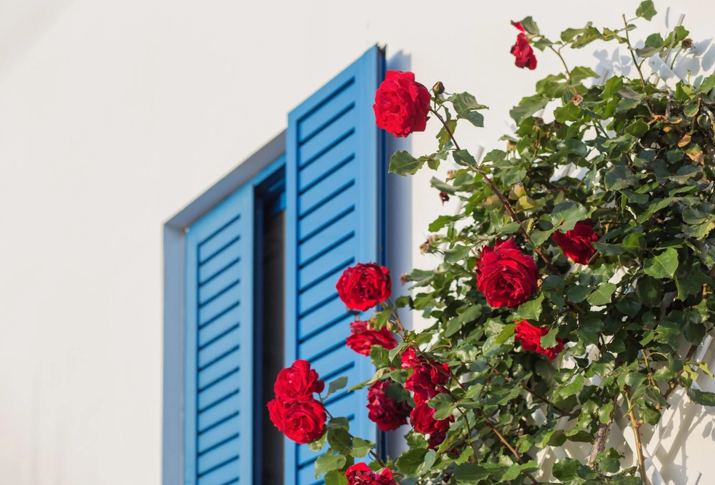 Property building in Venti Seaside Adult Hotel